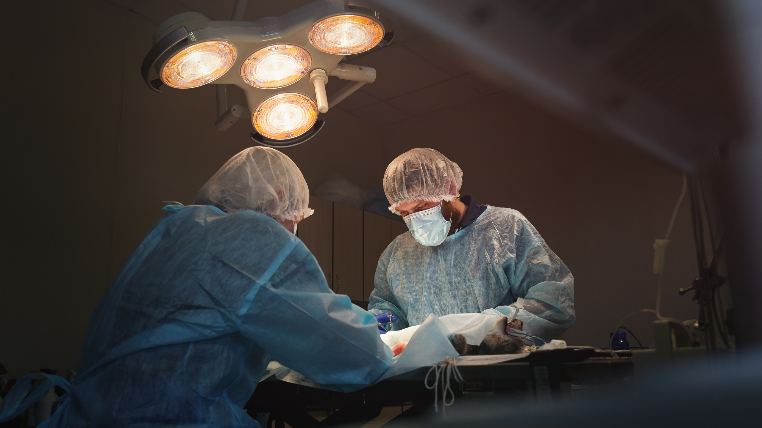 Фотопроекты и ретушь любой сложности