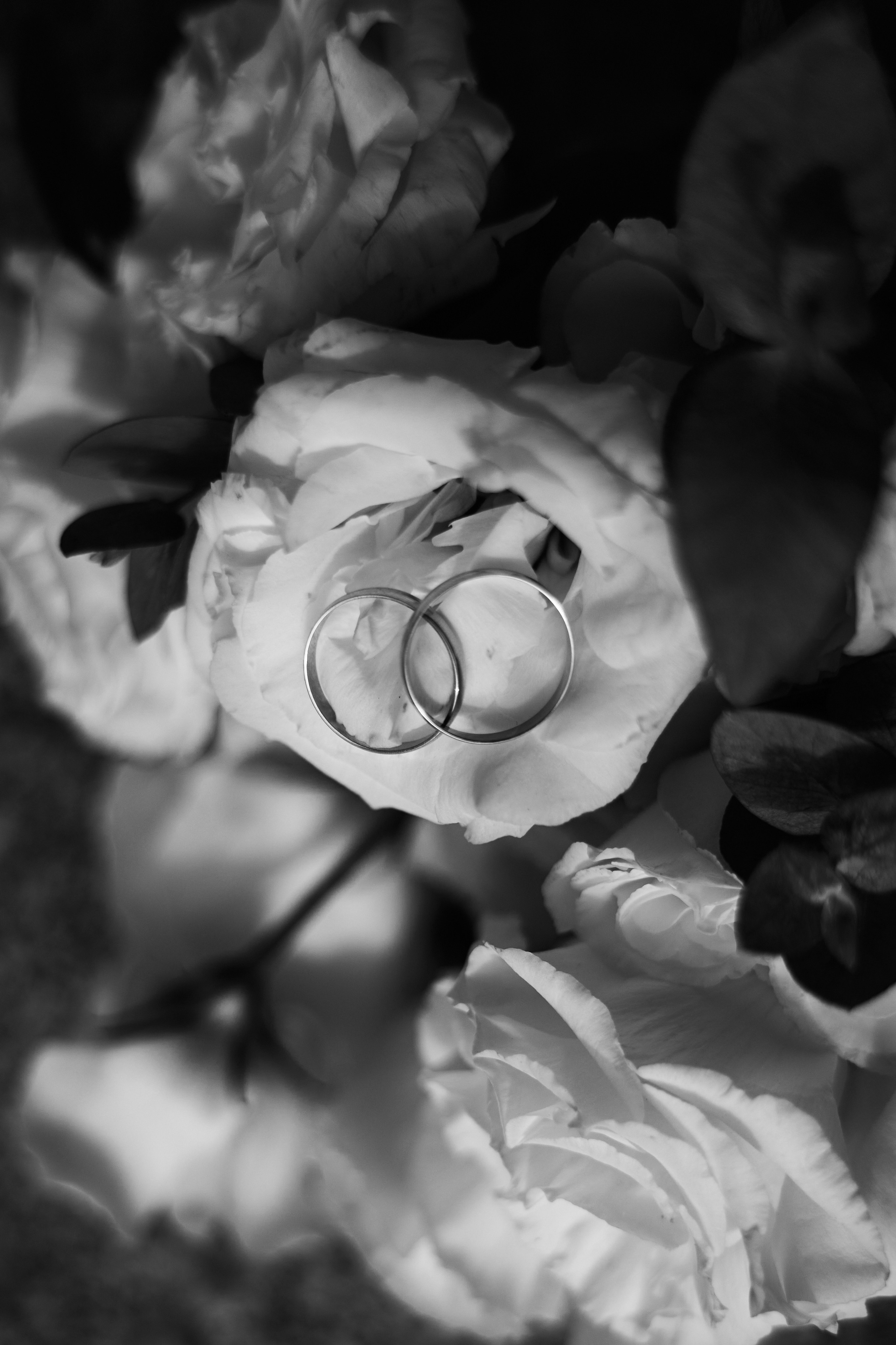 Роспись и небольшая прогулка для Юлии и Антона. Любовь Юсупова. Фотограф