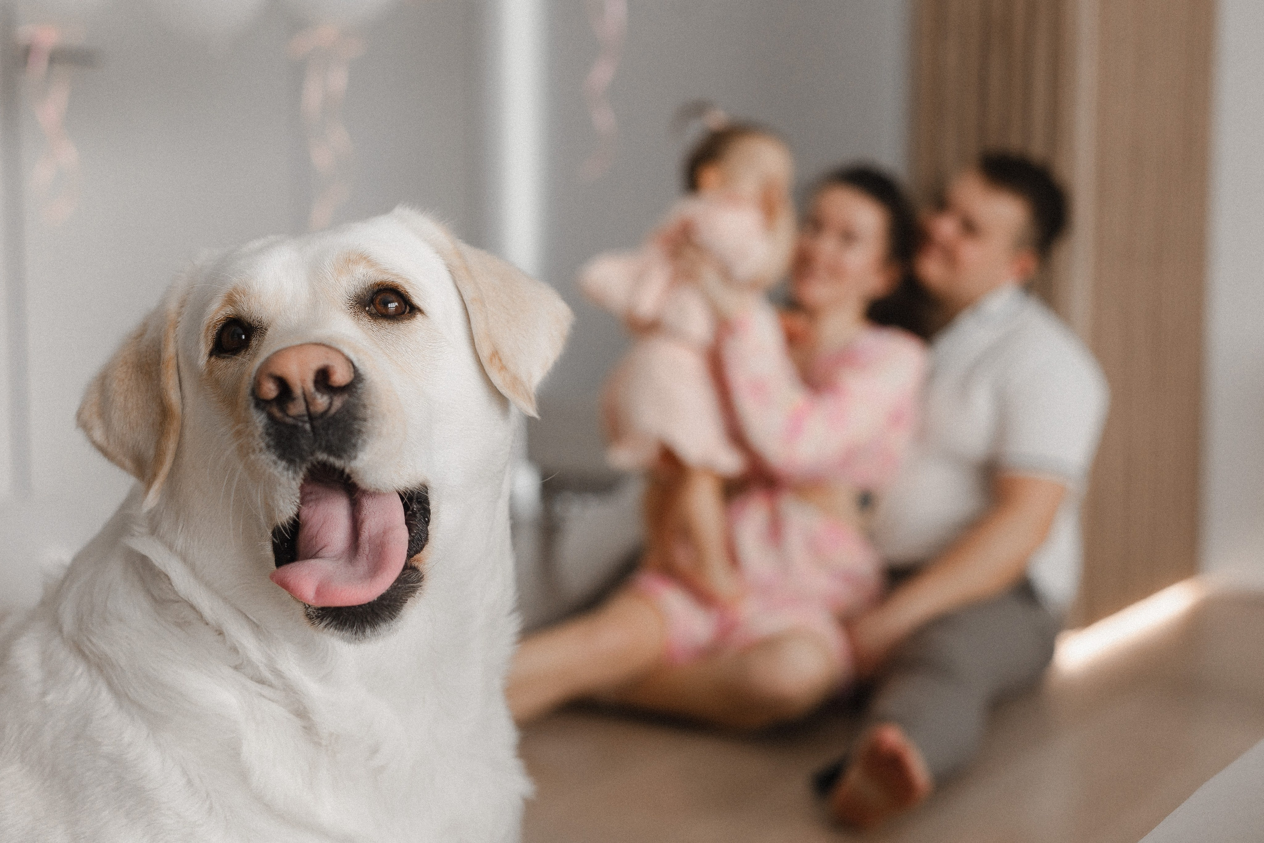 Миле 1 годик. Семейный фотограф в Нижнем Новгороде Доронина Юлия