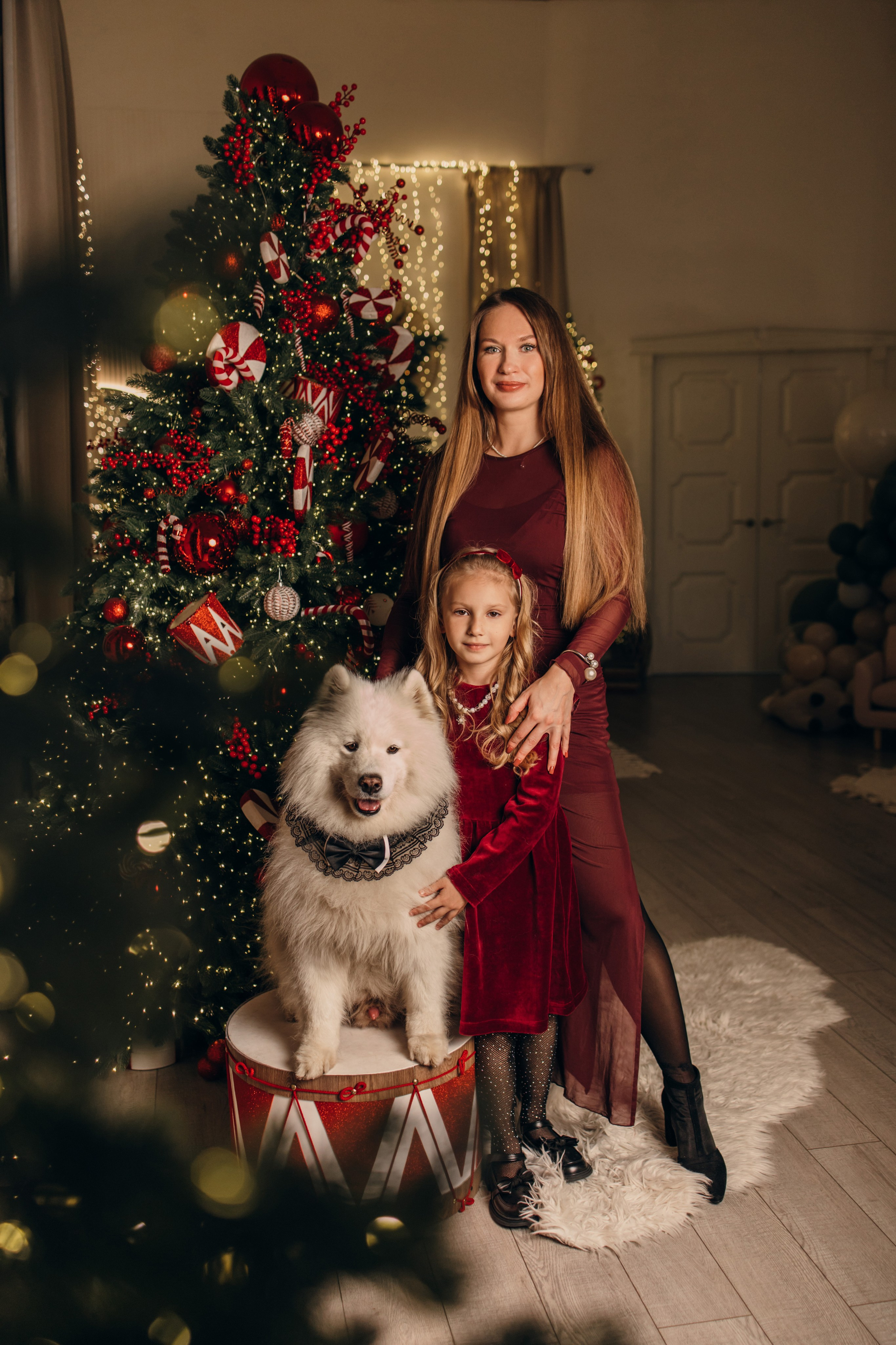 Новогодний самоед. Коновалова Ольга | фотограф в Пензе и Заречном