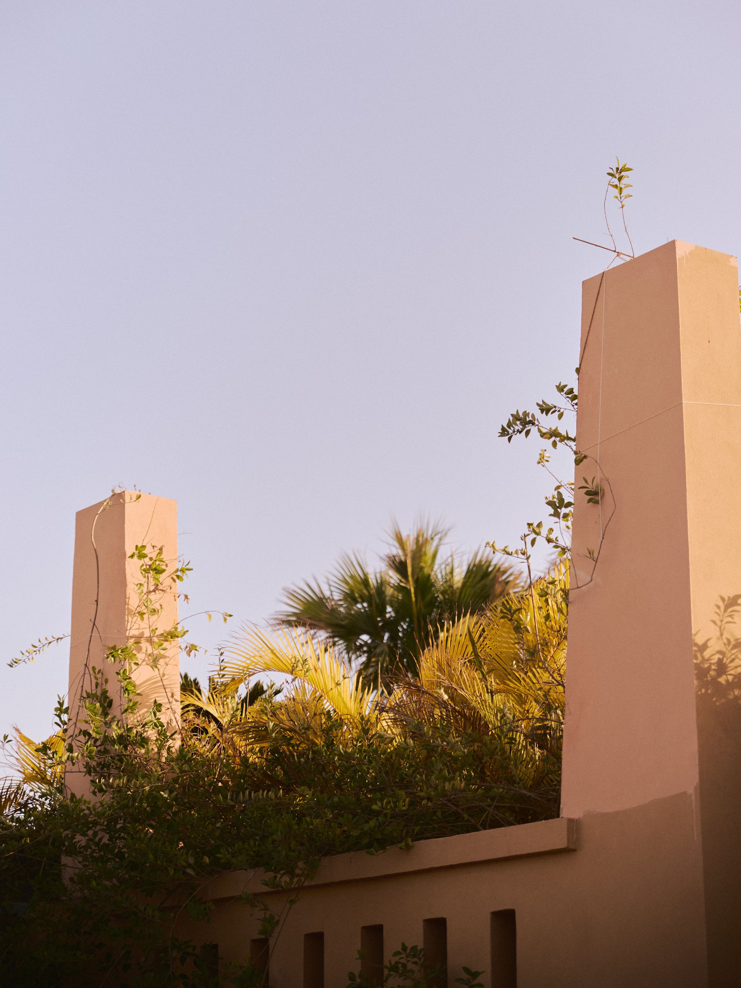 Природа сквозь. Jorgis Talè — photographer, kind person, teacher of arts and other mag