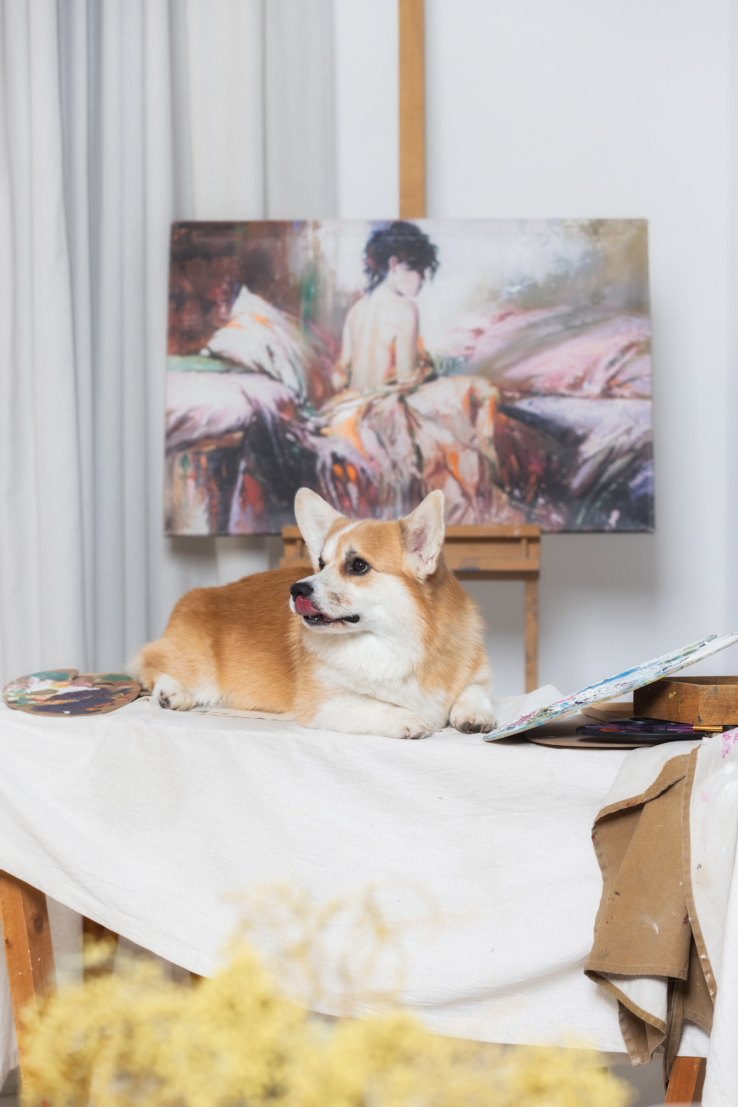 Собаки и не только. Фотограф Алена Звездина