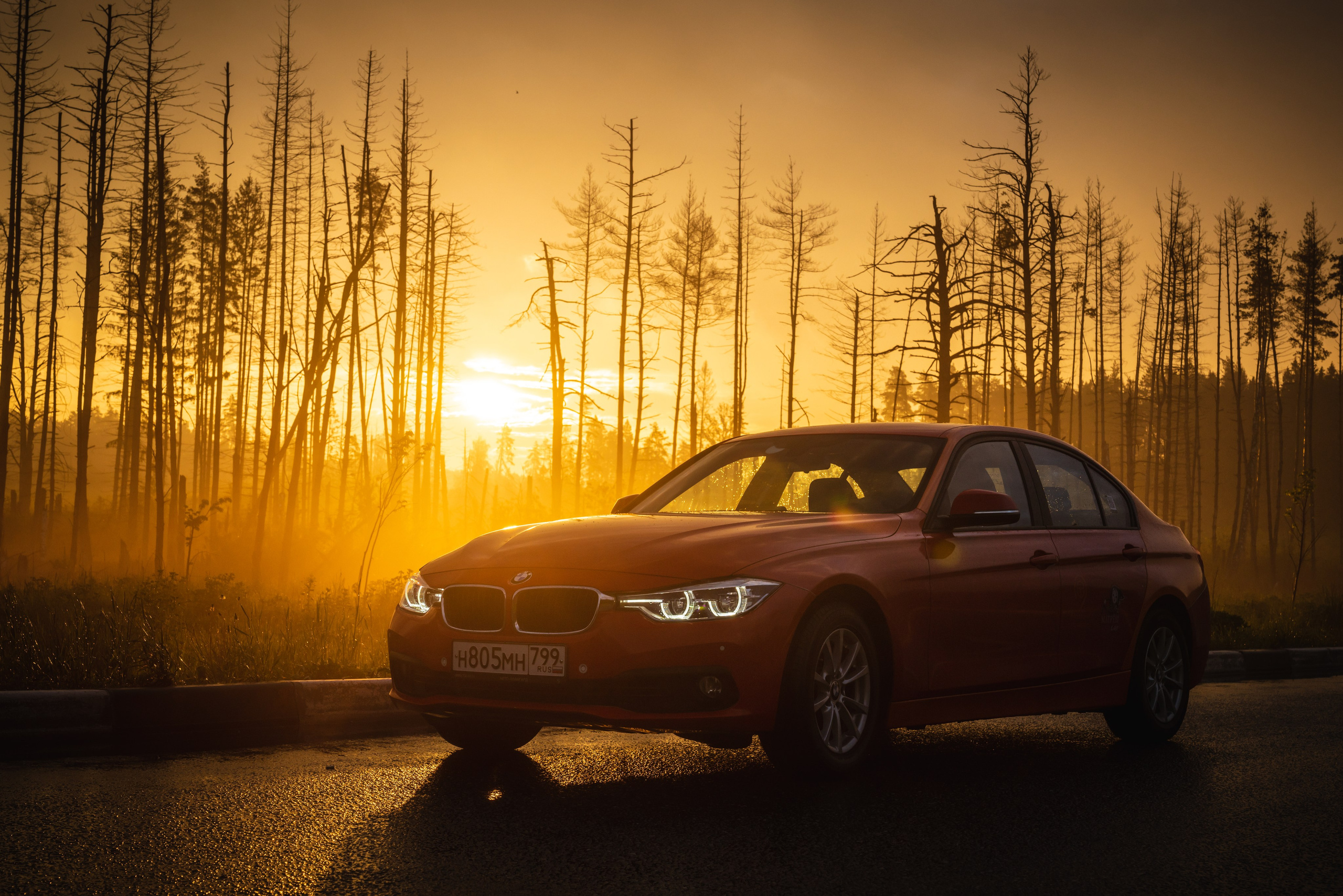 AUTO. Фотограф Видеограф Москва Наместникова Яна