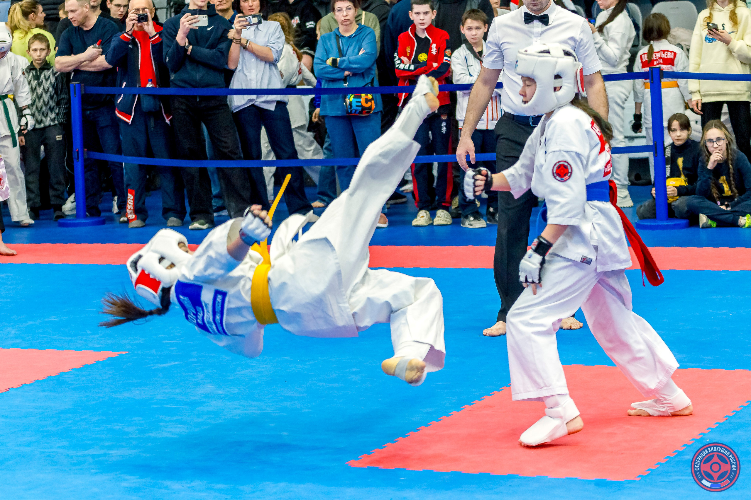 Международный турнир по киокушин «Открытый кубок Seiken». Репортажная съемка в Москве и области. Анималистика