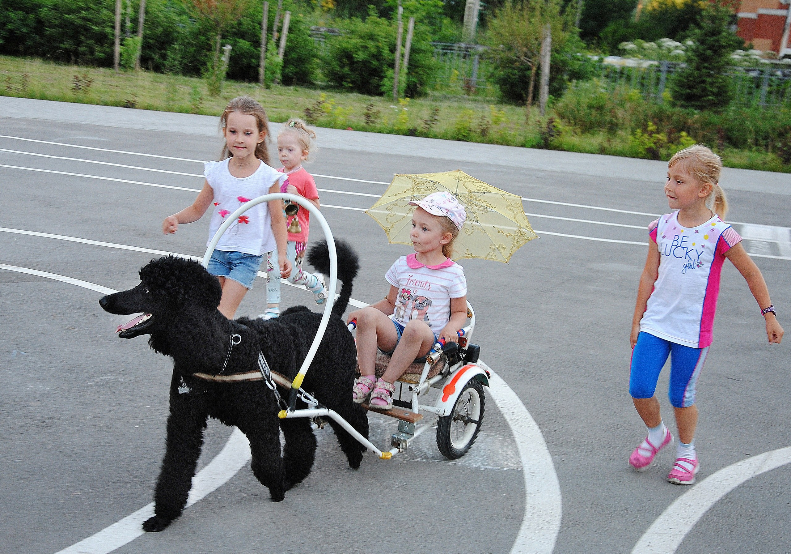 Блог. Фотостудия Портрет Свадебный и семейный фотограф в Рязани