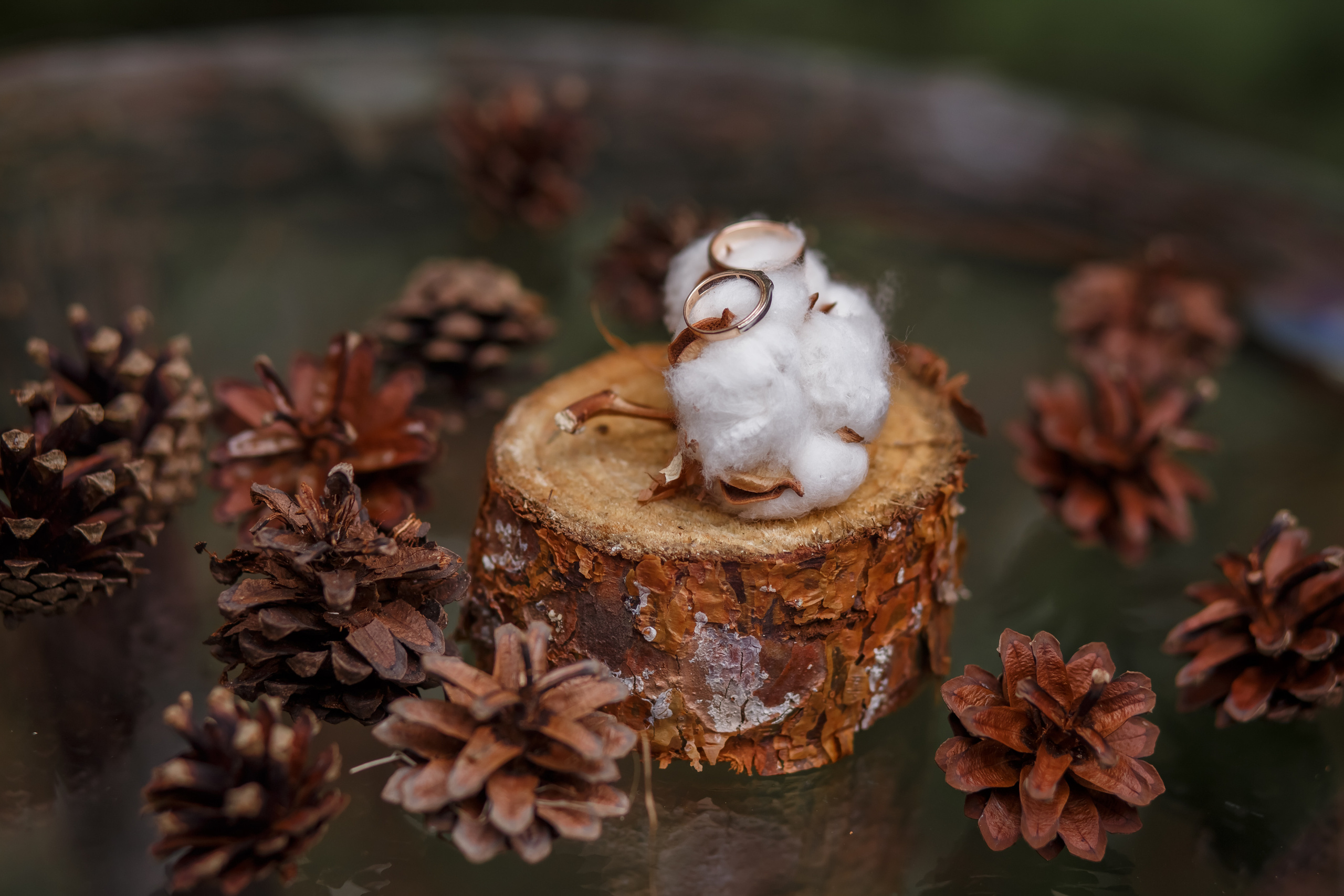 Свадебное. Детский семейный фотограф Кострома, Ярославль