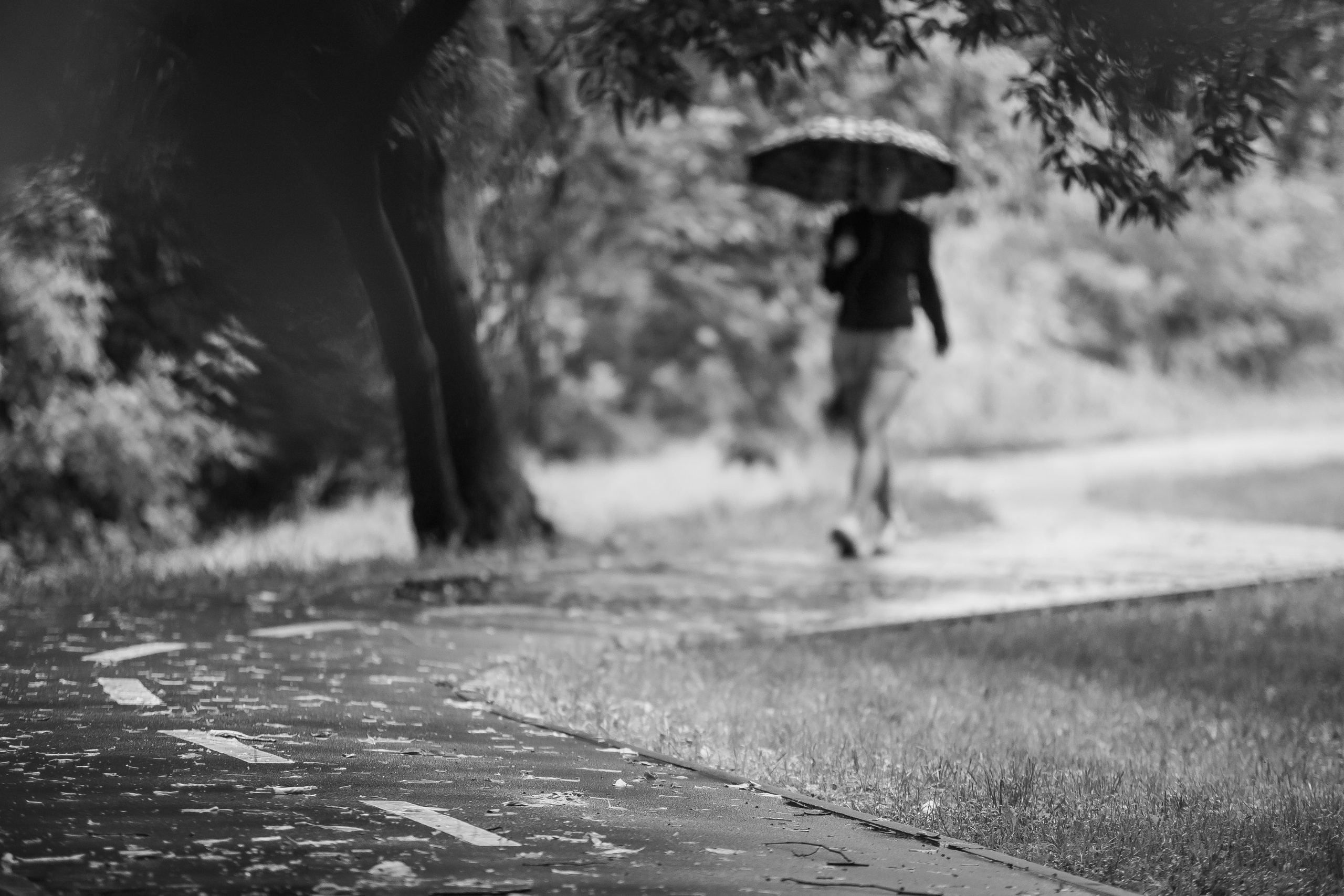 Городской пейзаж. Фотограф Владимир Охрименко