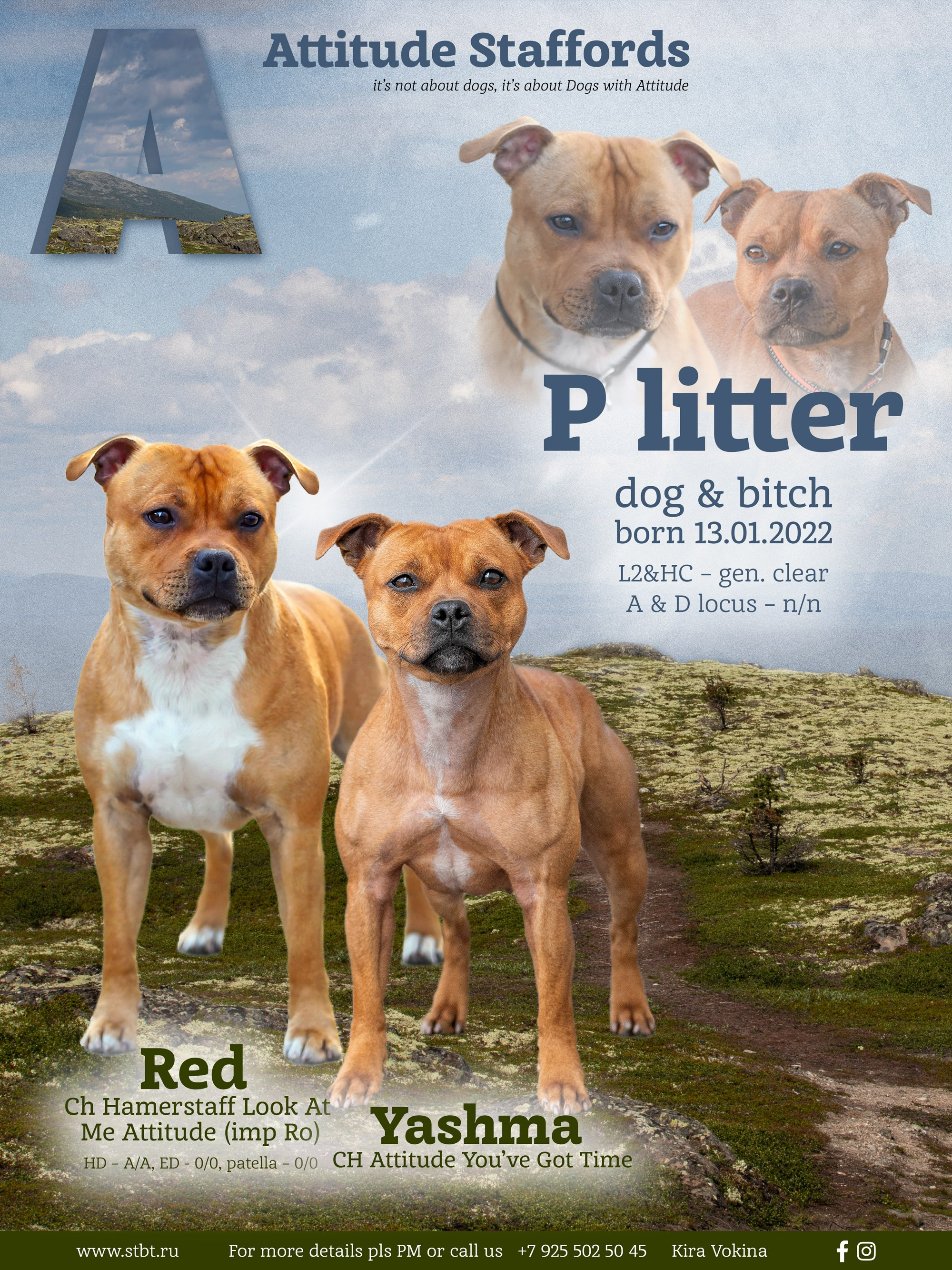 Дизайн. Фотограф-анималист в Калуге Мария Шерскова