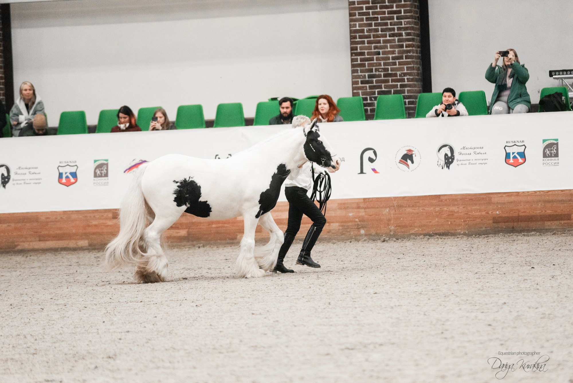 8-я международная выставка Конная Россия. Конный фотограф Куракина Дарья • Фотосессии с лошадьми