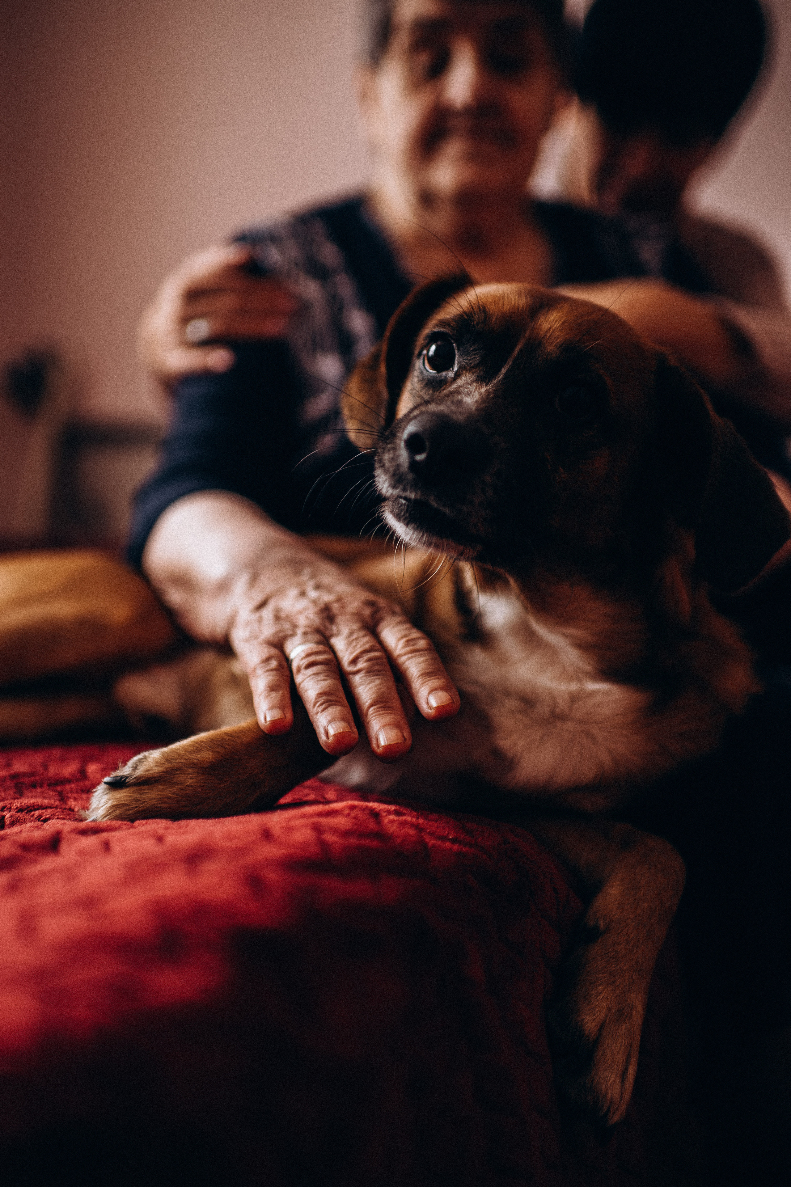 История о любви. Мама, мамочка…. Фотограф Котова Валентина