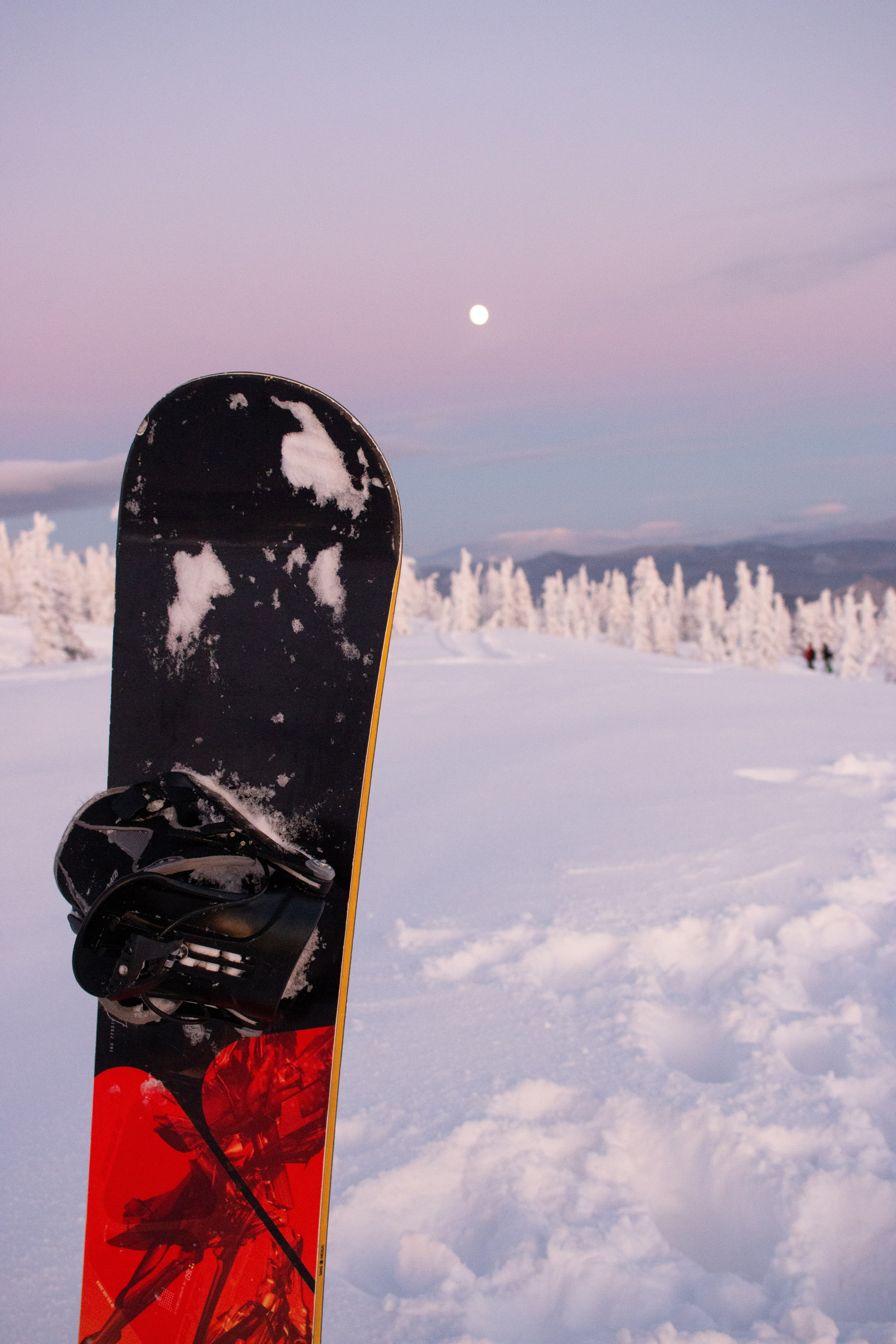 Татьяна и Иван. Свадебный и семейный фотограф в Новокузнецке Иван Иванов