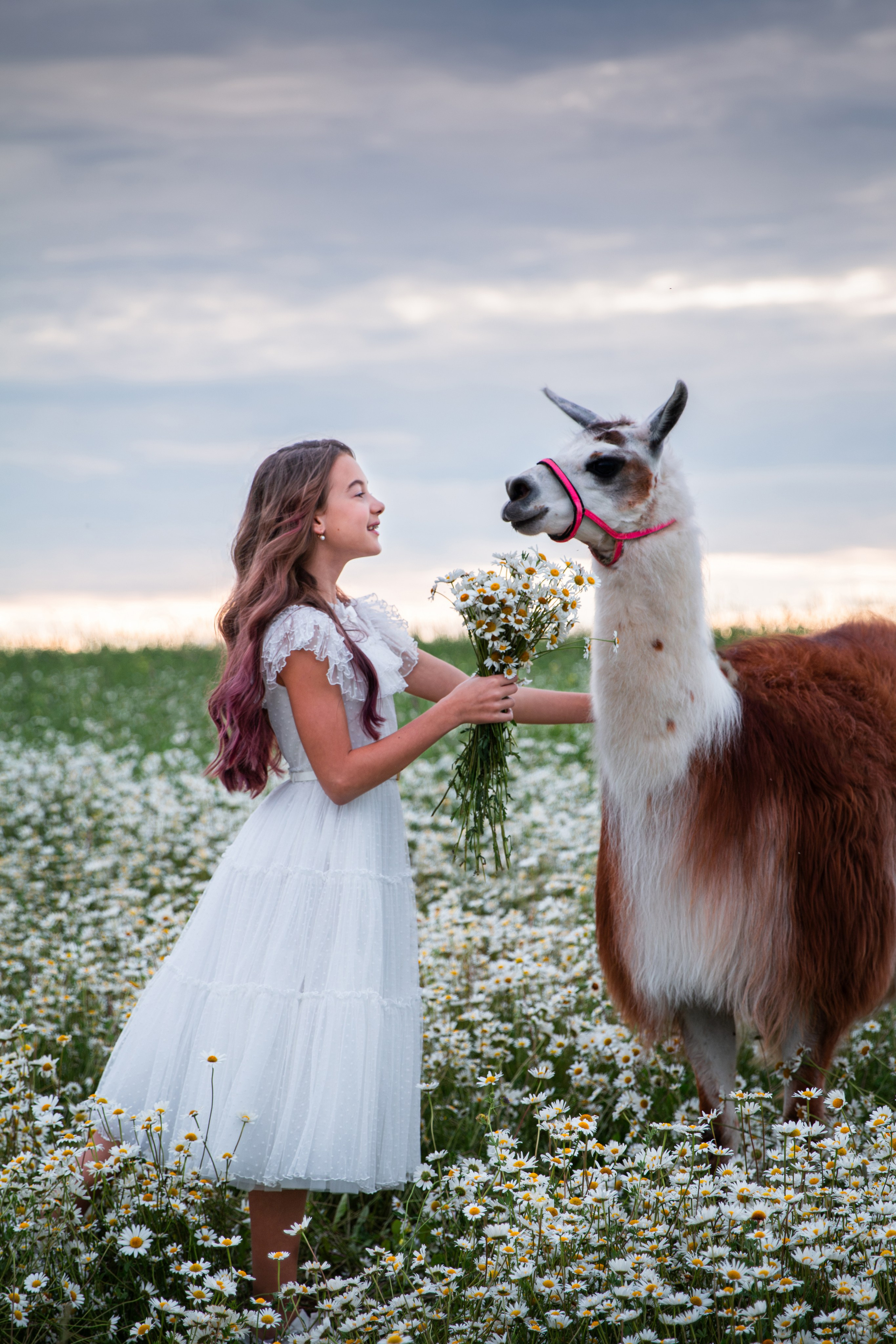 Фотосессии с лошадьми в Москве и Московской области. Конный фотограф Алеся Нечаева