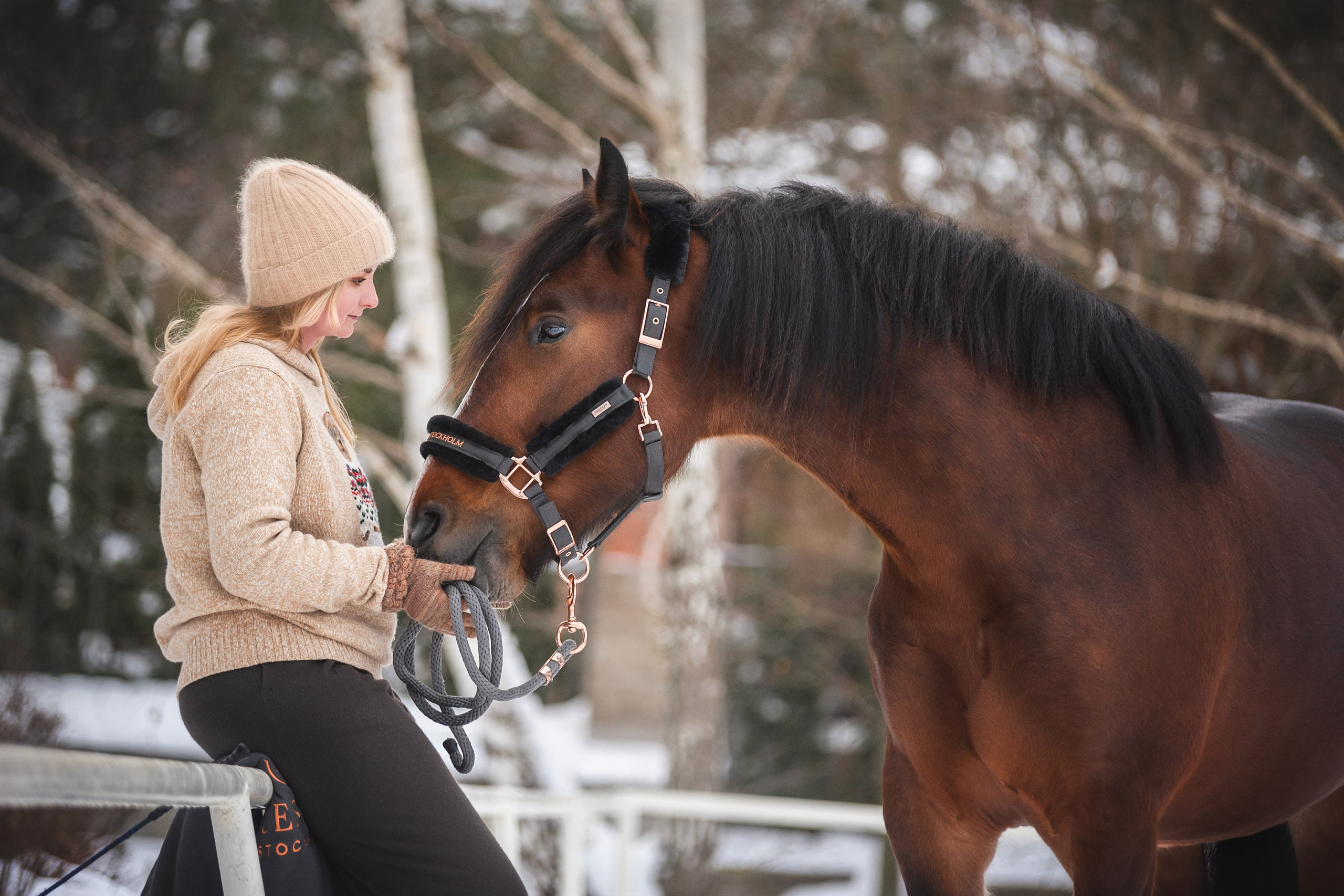 Новогодний Волконский. Конный фотограф Куракина Дарья • Фотосессии с лошадьми