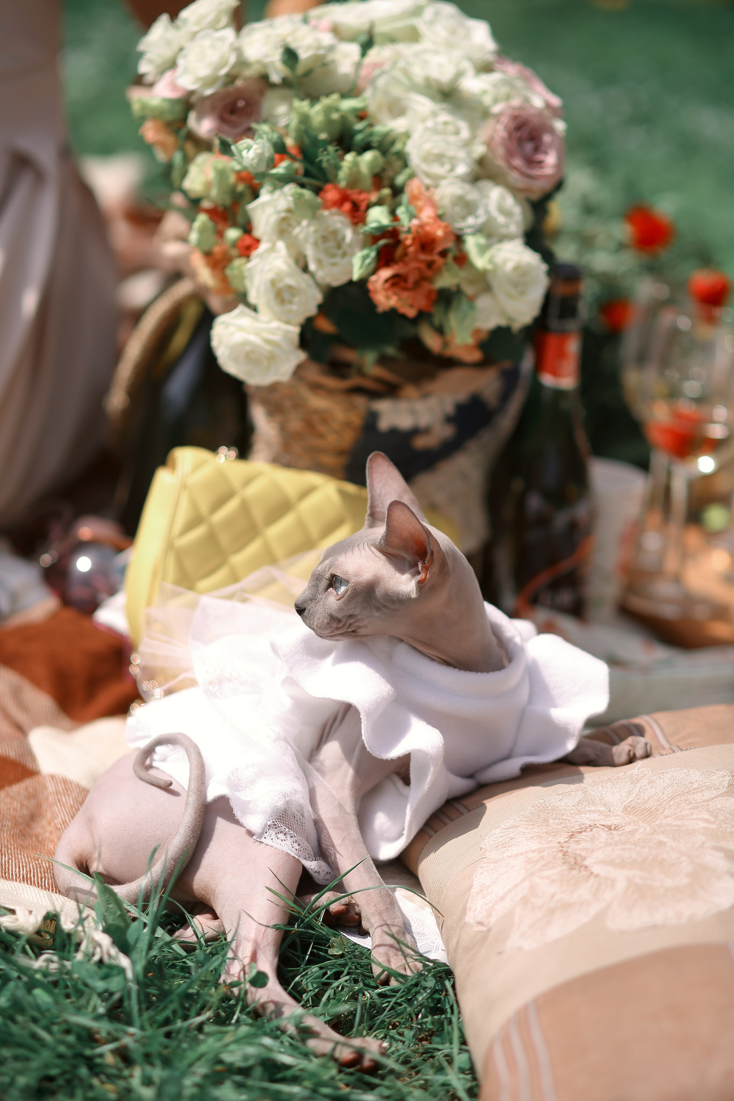 Французский пикник. Фотограф ваших самых ярких событий в Москве и СПБ. Збронская Юлия