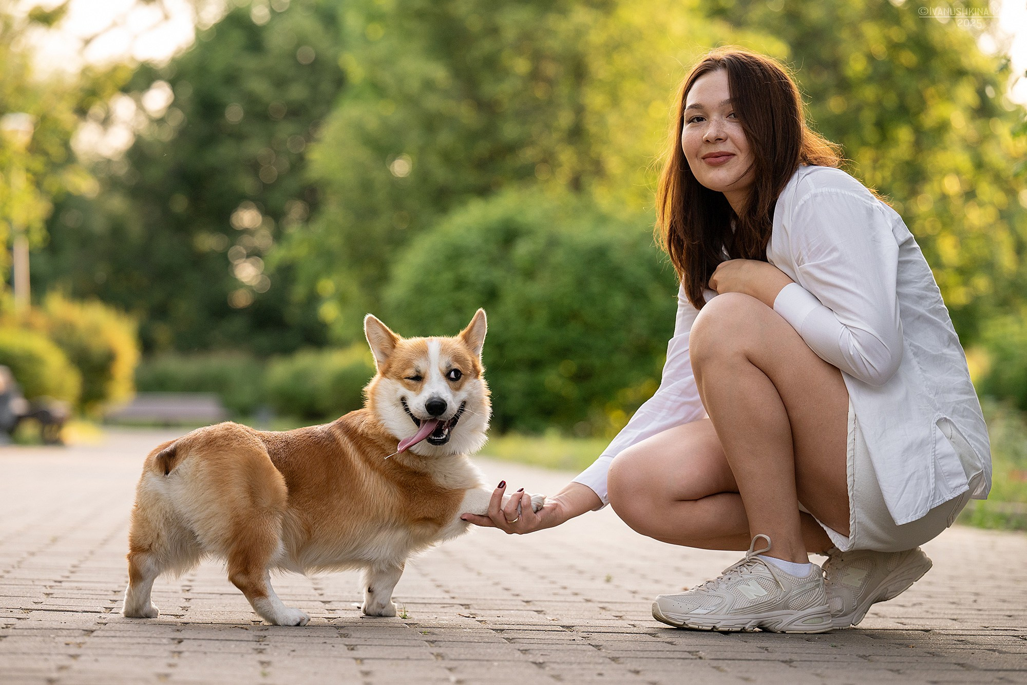 Фотосессия с собакой. Фотограф собак в Москве и Московской области Иванушкина Мария