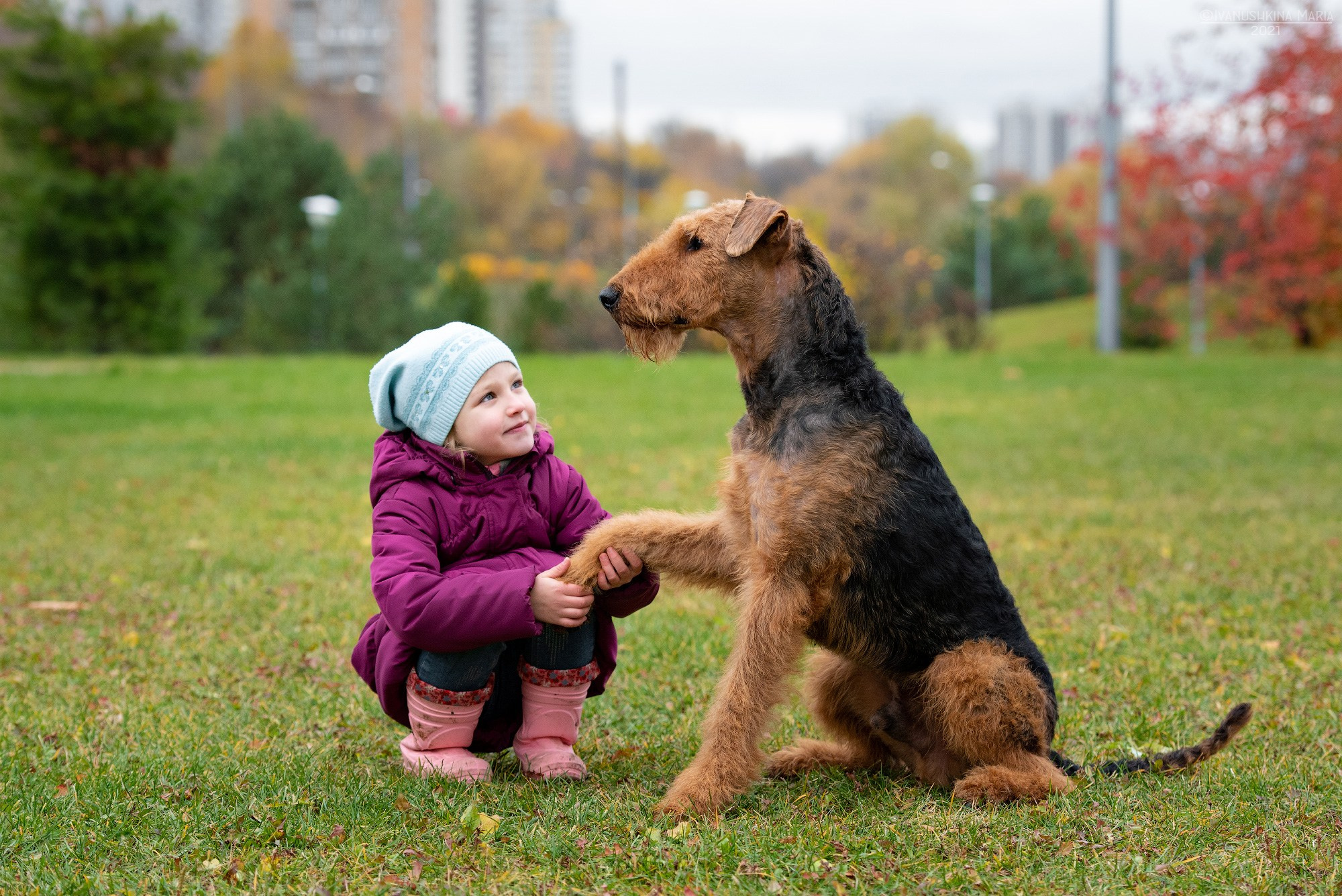 Фотосессия с собакой. Фотограф собак в Москве и Московской области Иванушкина Мария