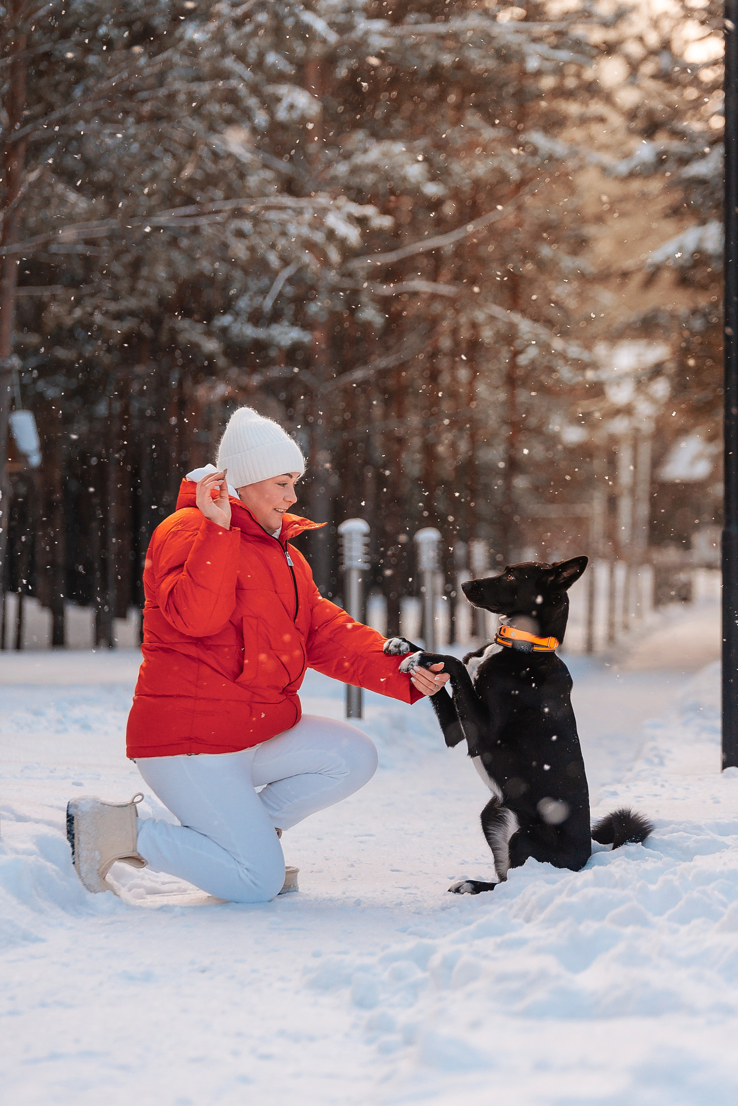 Татьяна, Михаил, Шелли и Лаки. Фотограф-анималист Анастасия Парфенова|Екатеринбург