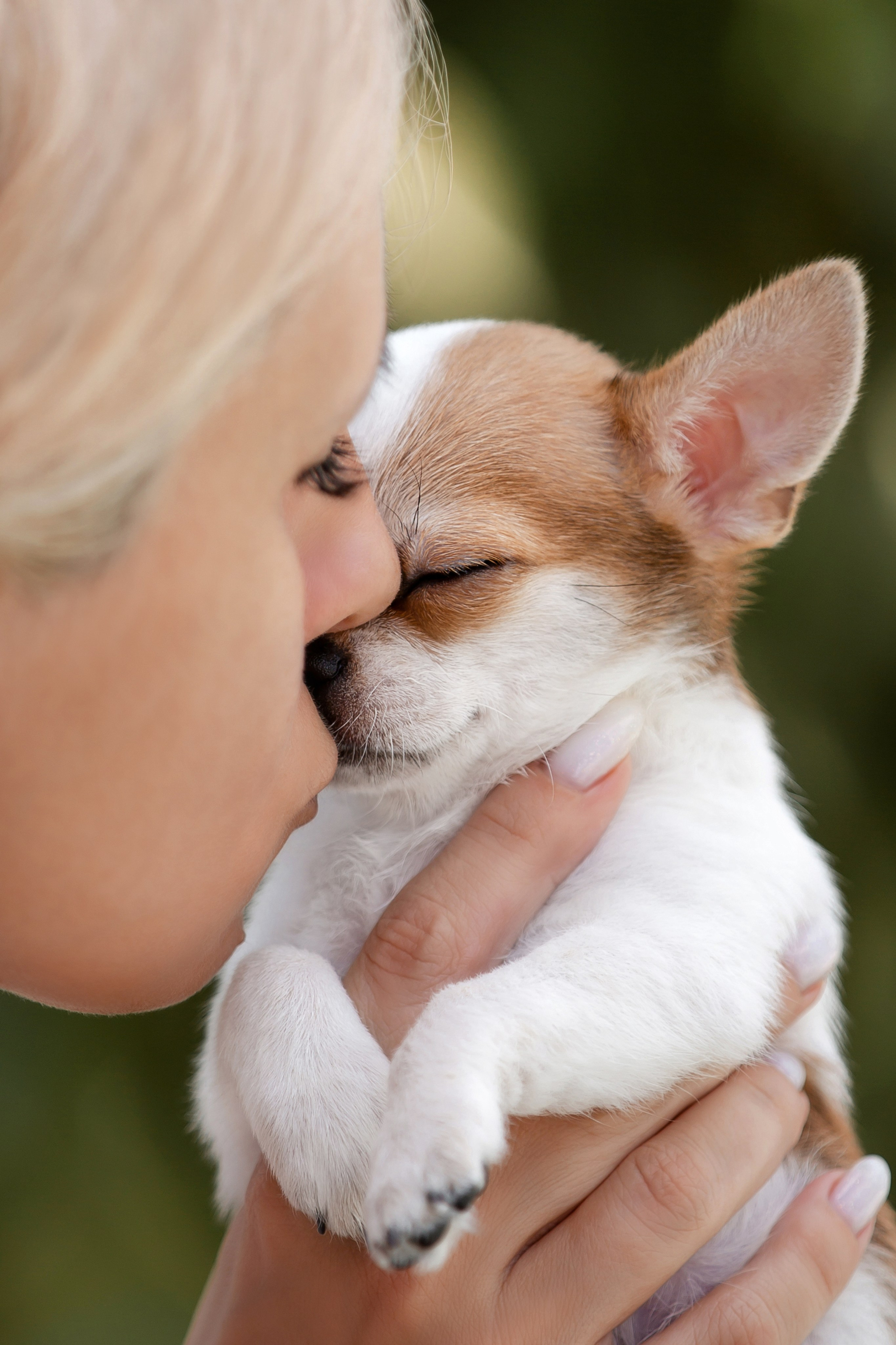 Фотосъёмка щенков. Фотограф-анималист в Краснодаре Маша Мельникова