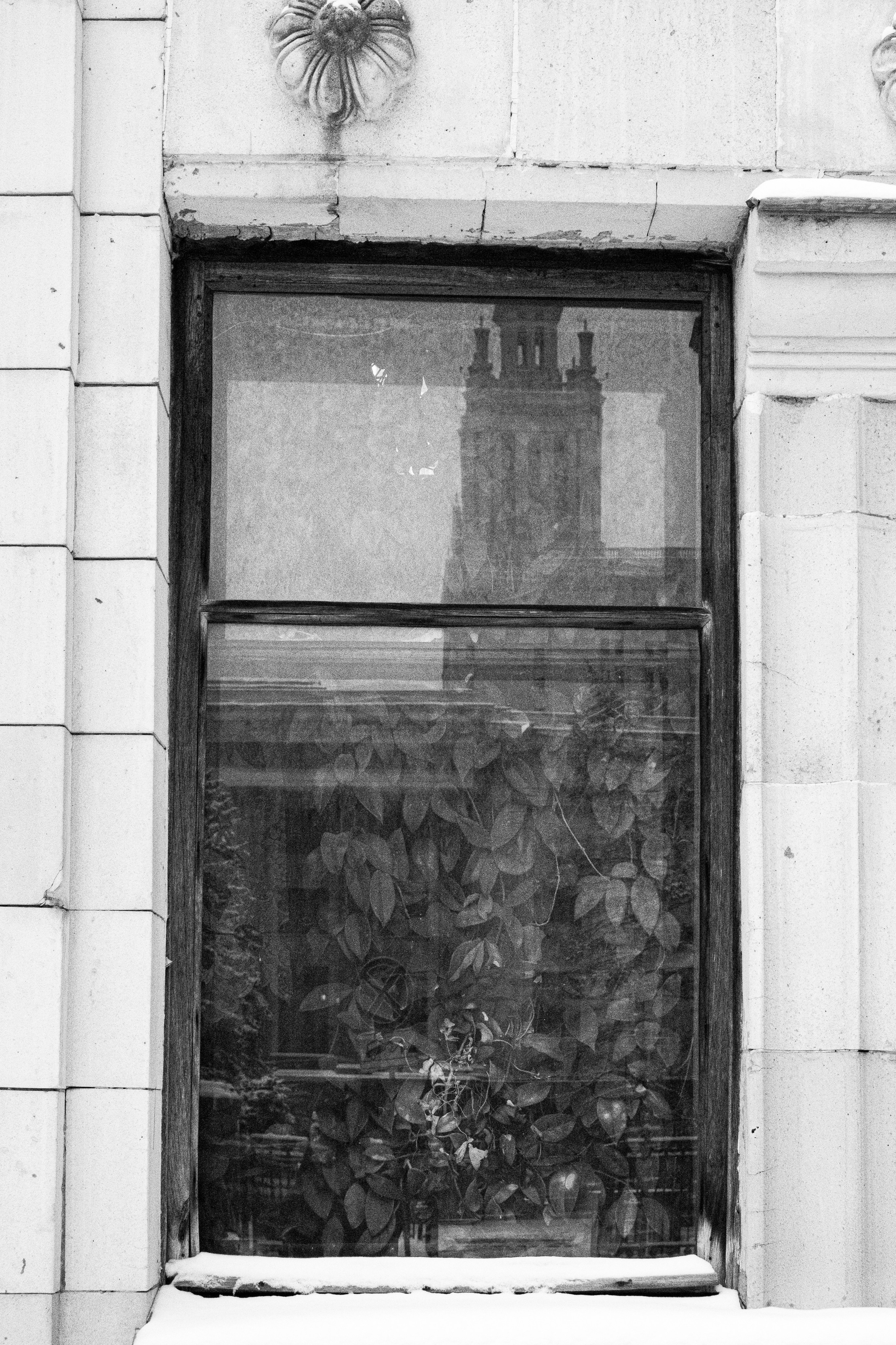 МГУ. Портретный и архитектурный фотограф в Москве и Санкт-Петербурге