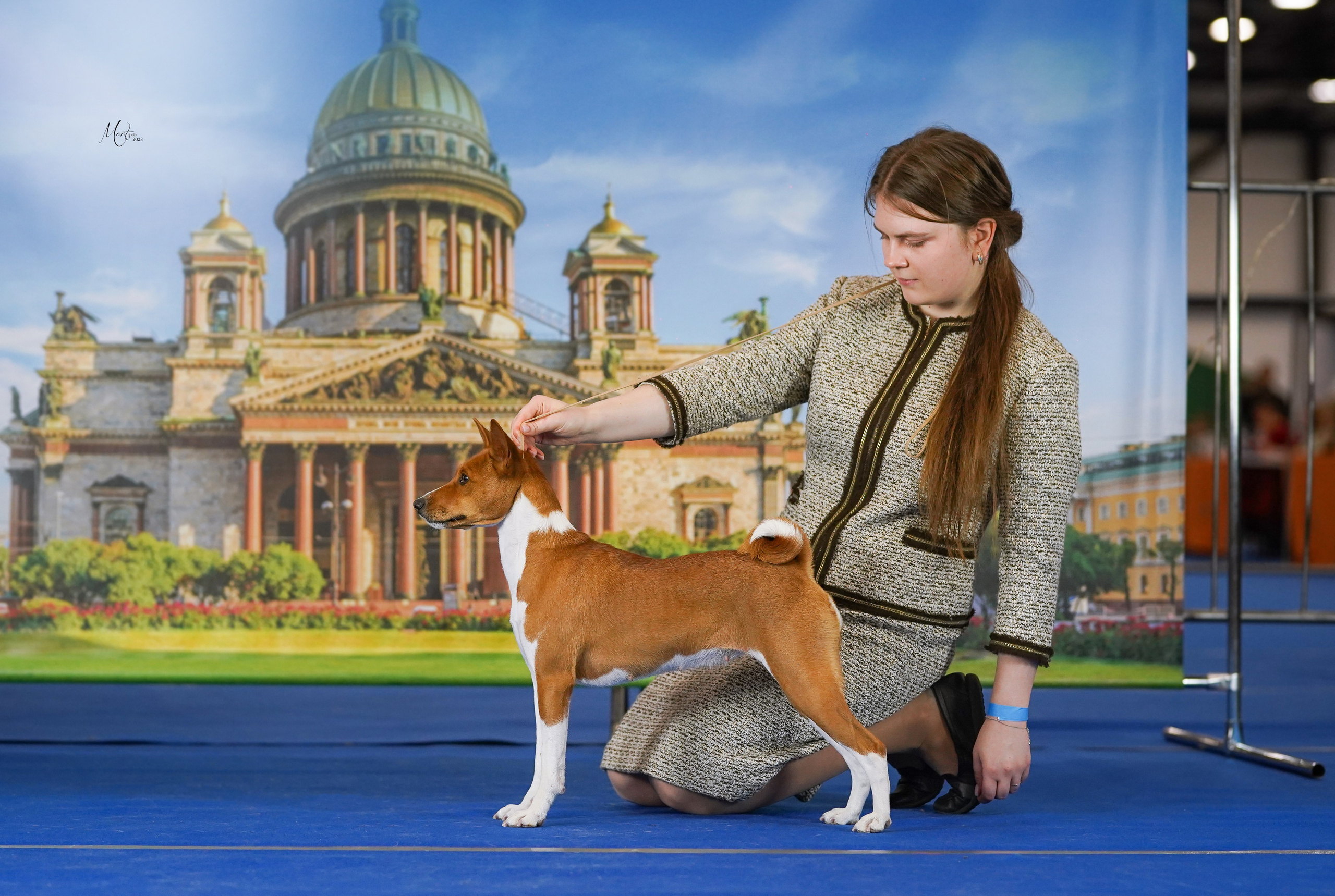 Выставки 2023. Фотограф-анималист в Санкт-Петербурге Яна Мартынова