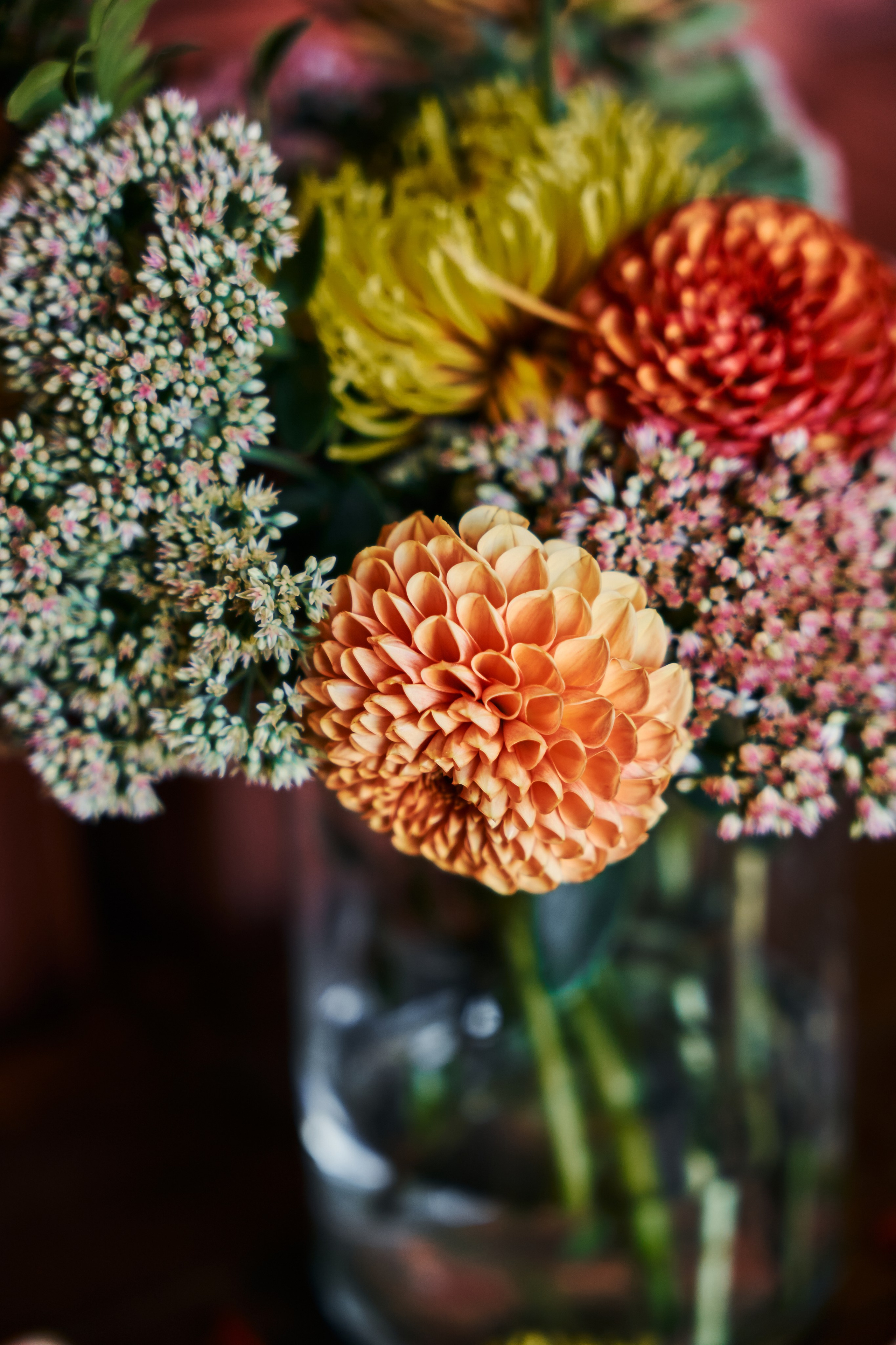 Sexychella. Фотограф в Москве Казакова Анна