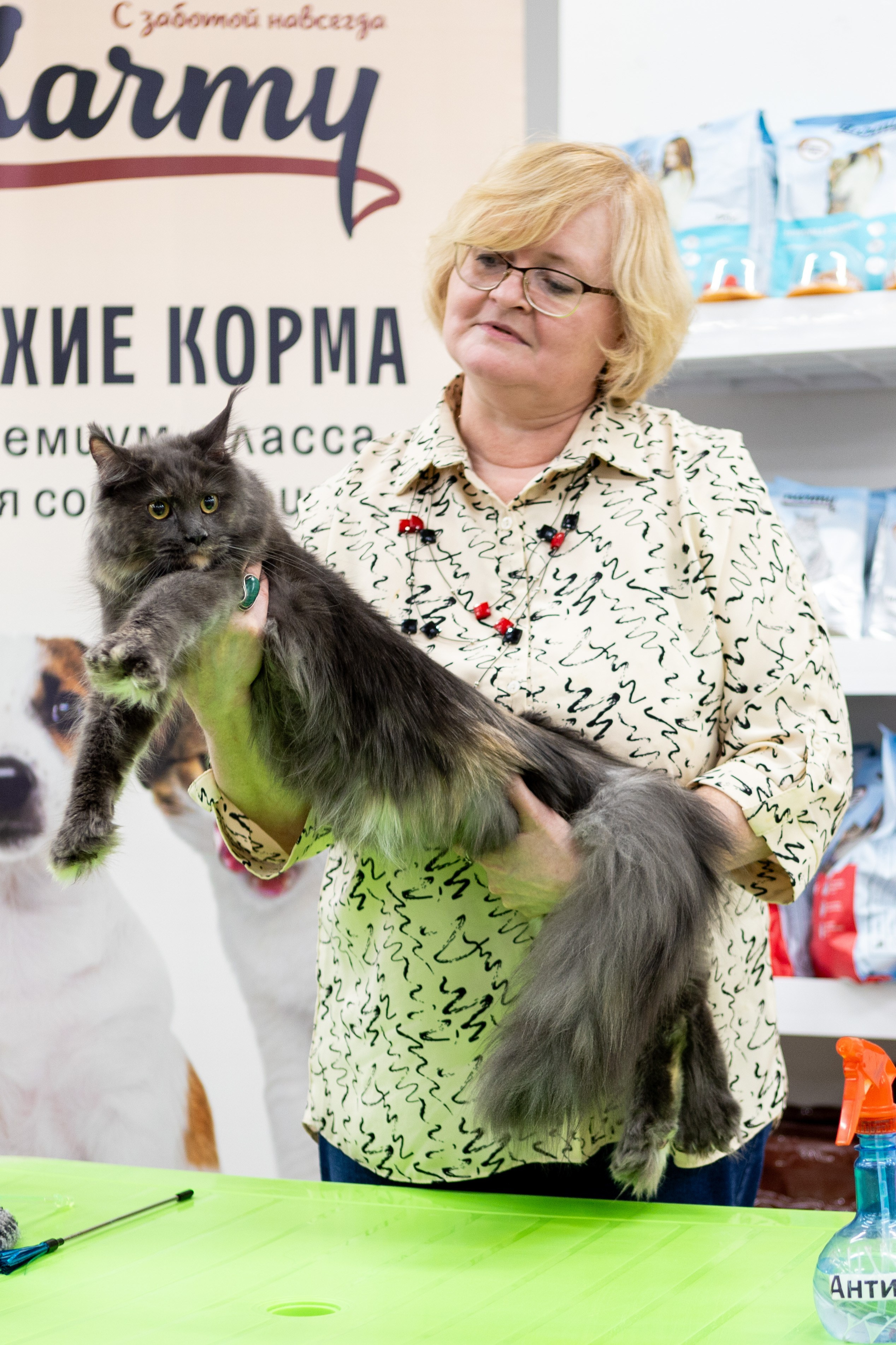 Кошки. Фотограф Яна Матвеева в Ижевске