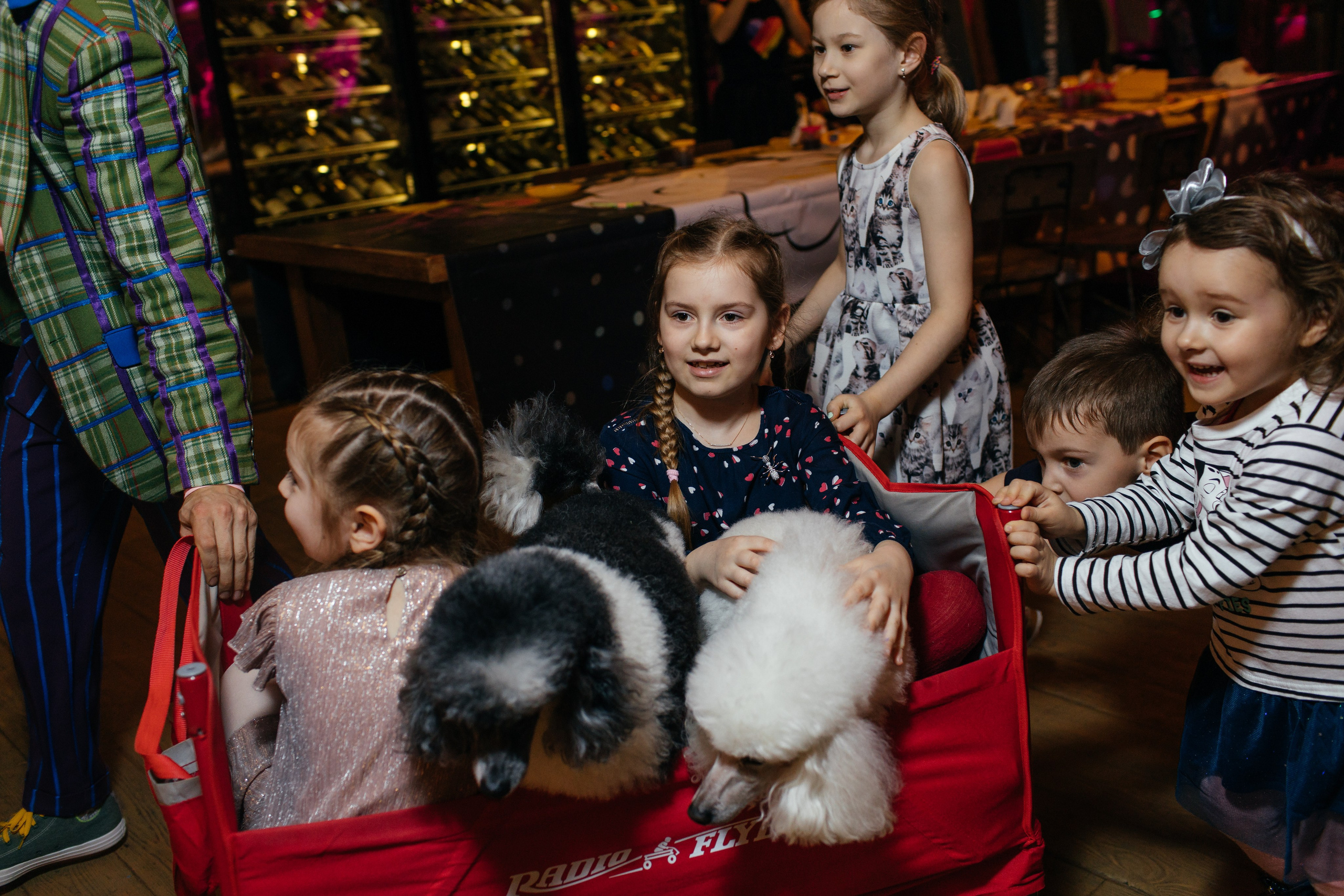 Алине 7 лет. Свадебный и семейный фотограф