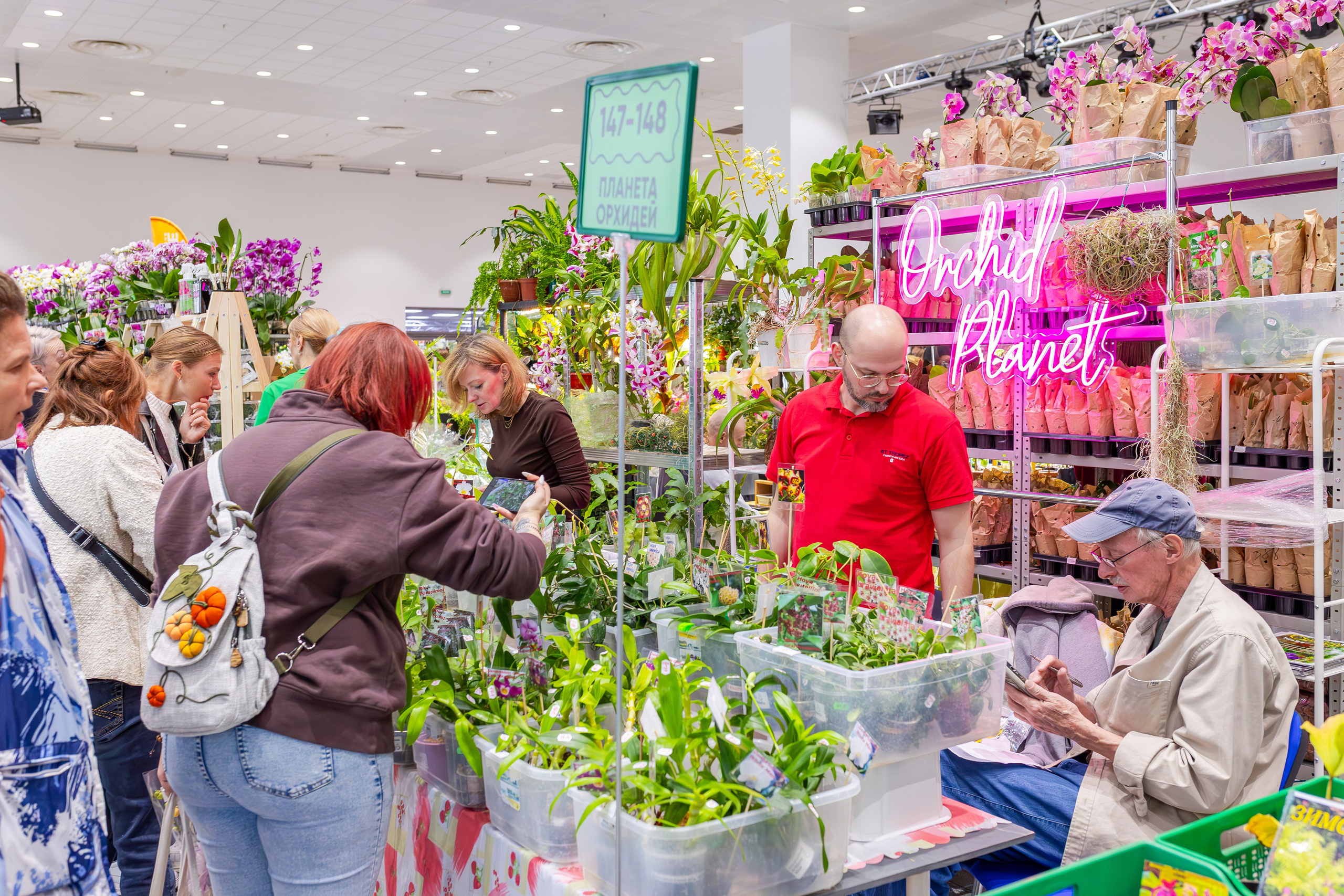 Орхидиум сентябрь 2025. Александра Куликова фотограф, Москва