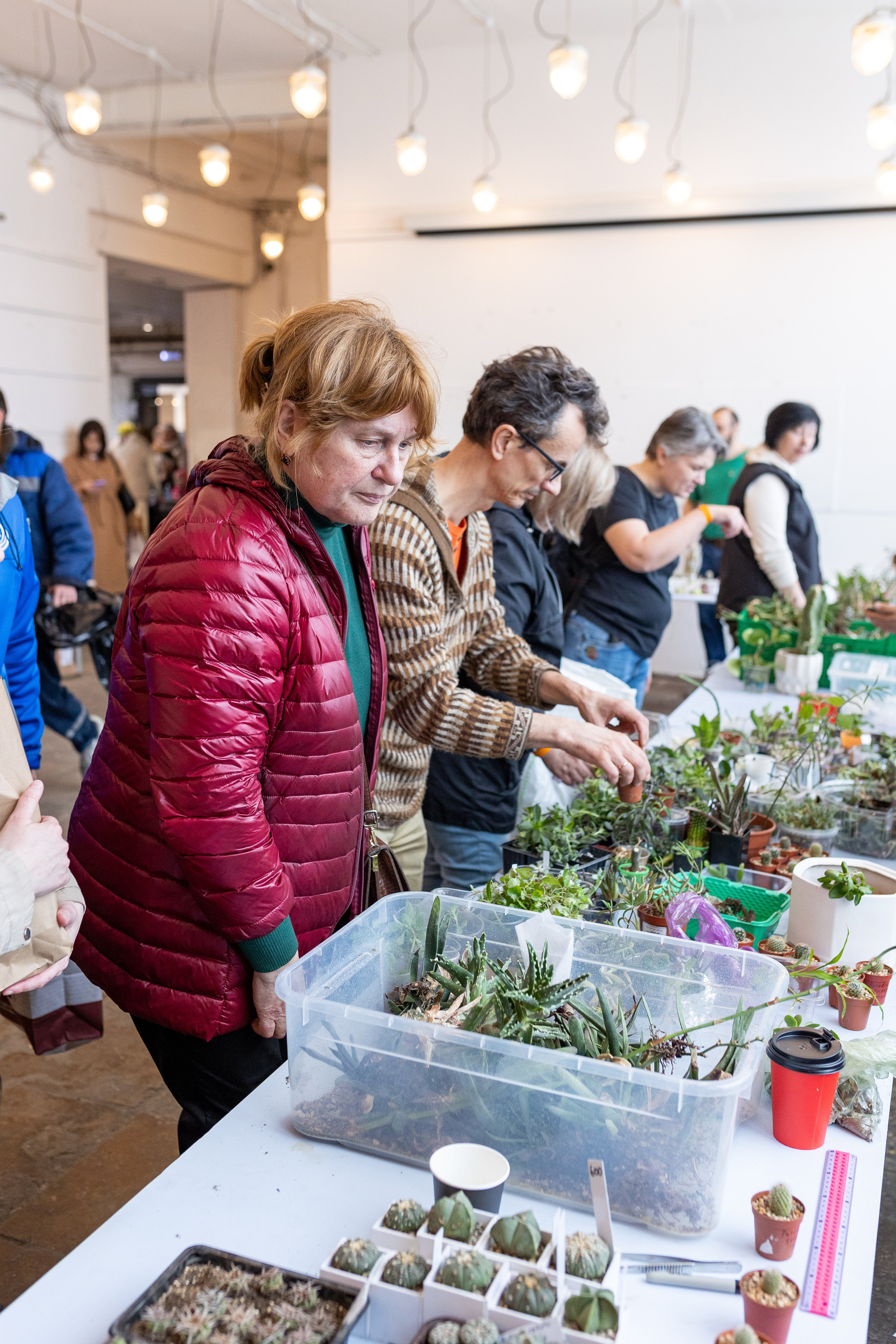 Meza market 2024. Александра Куликова фотограф, Москва
