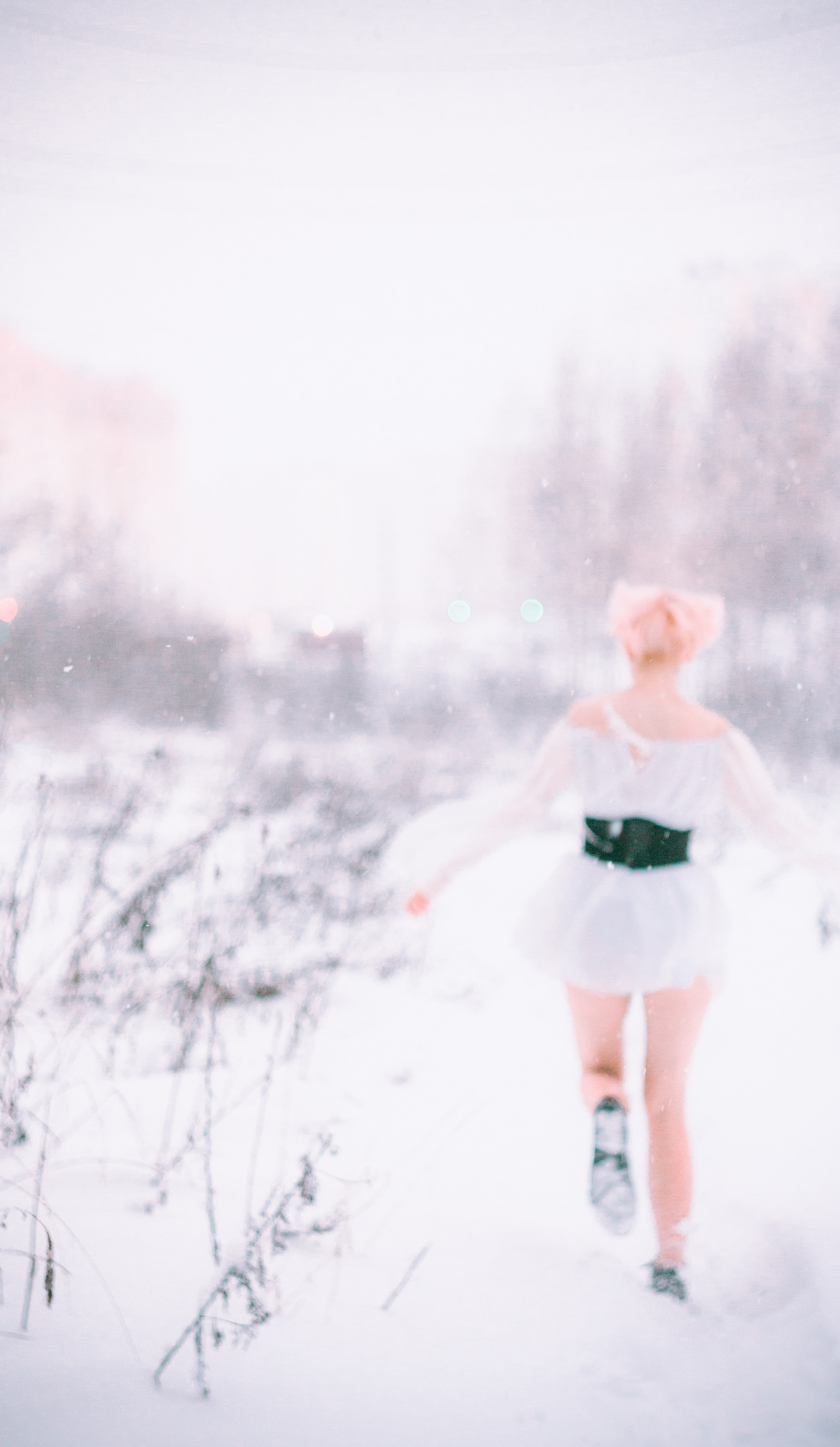 Elizaveta Rose | Forest