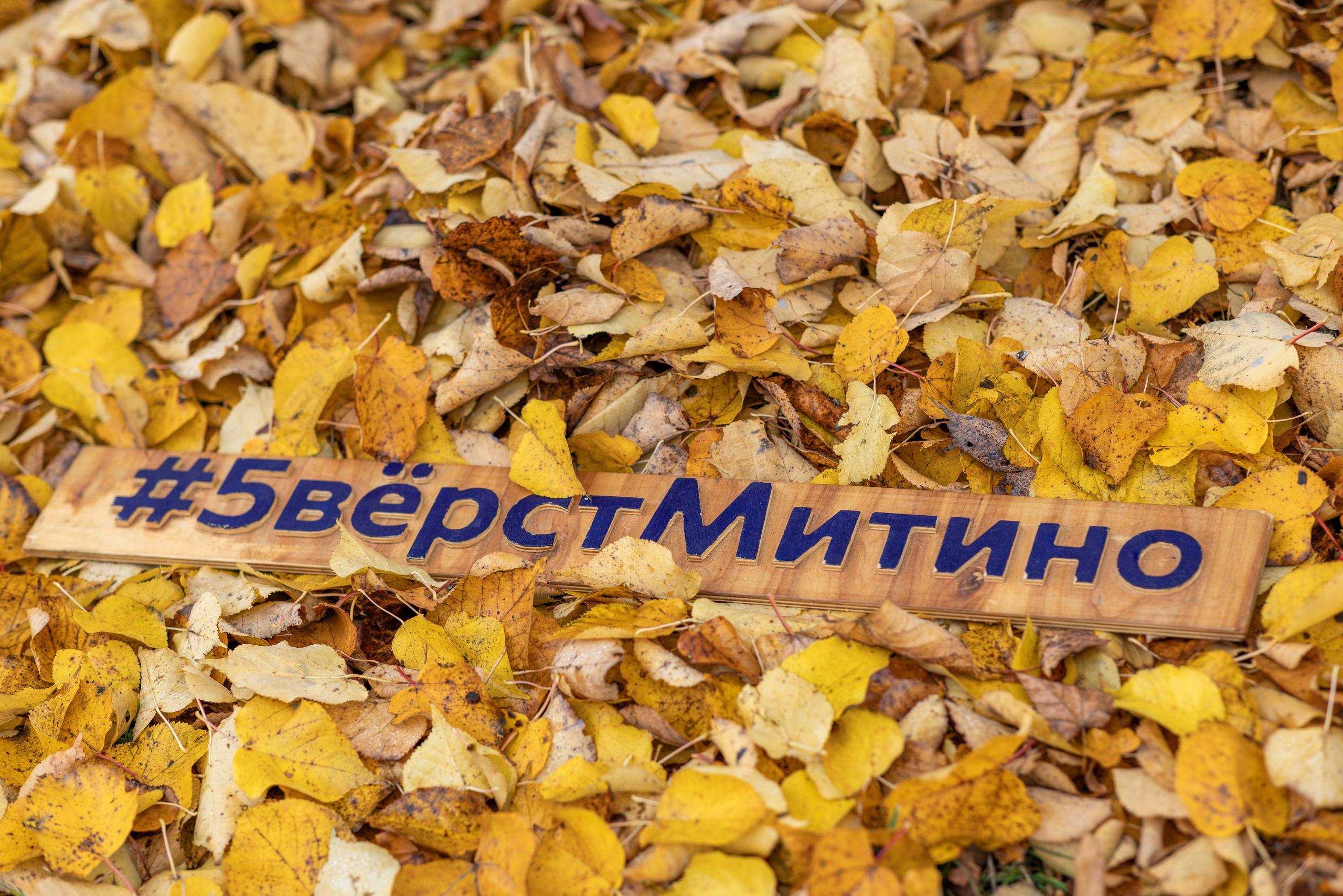 5 вёрст в Митино, 11.10.25. Фотограф Сергей Ловкий