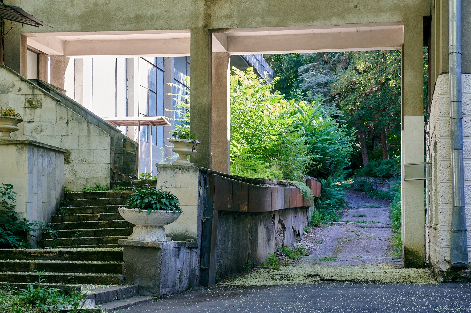 Санаторий им. Семашко, Кисловодск, август 2024. Фотографии отовсюду и обо всем