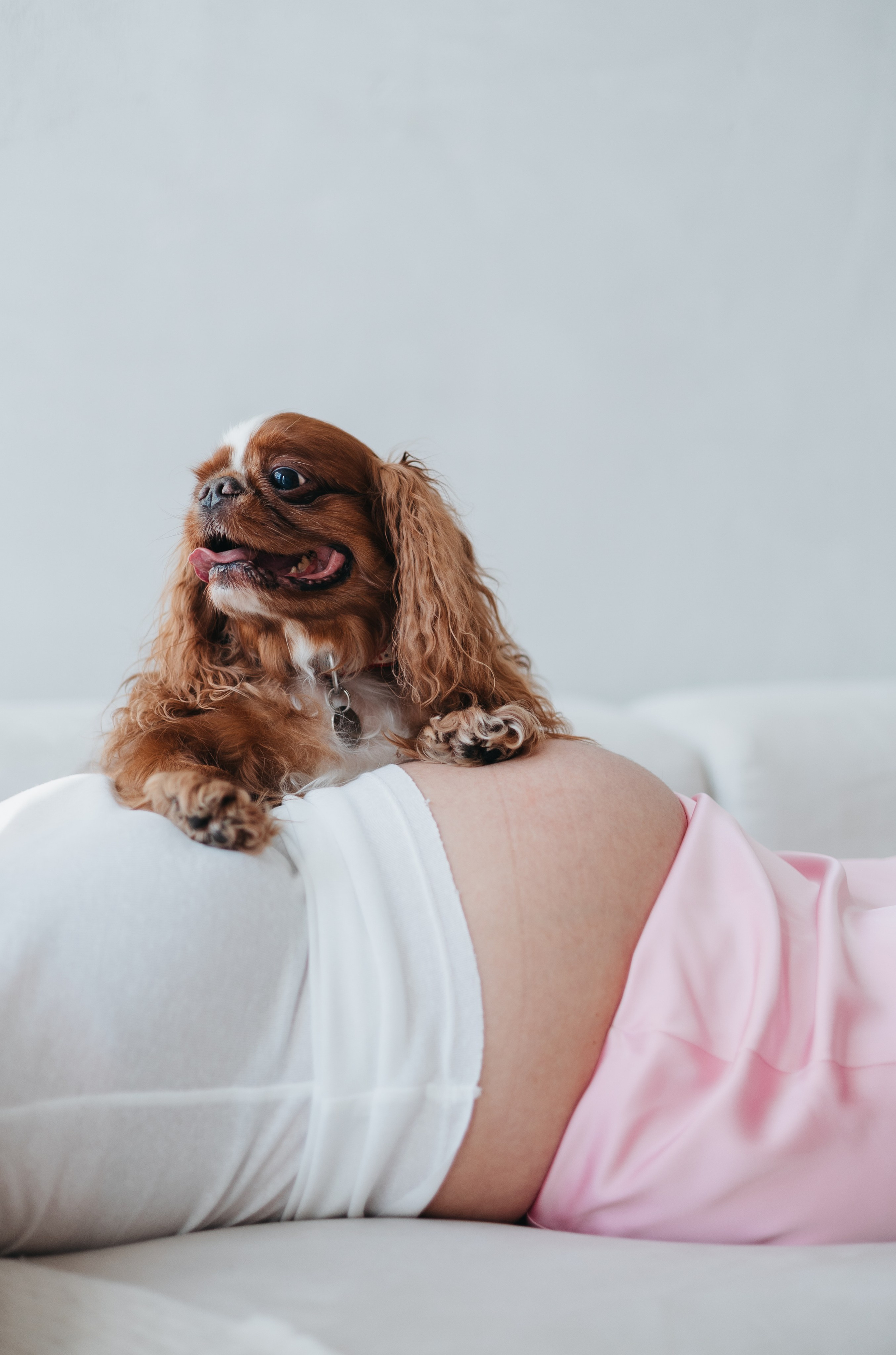Полина, Максим и Кекс. Фотограф животных Евгения Верцинская