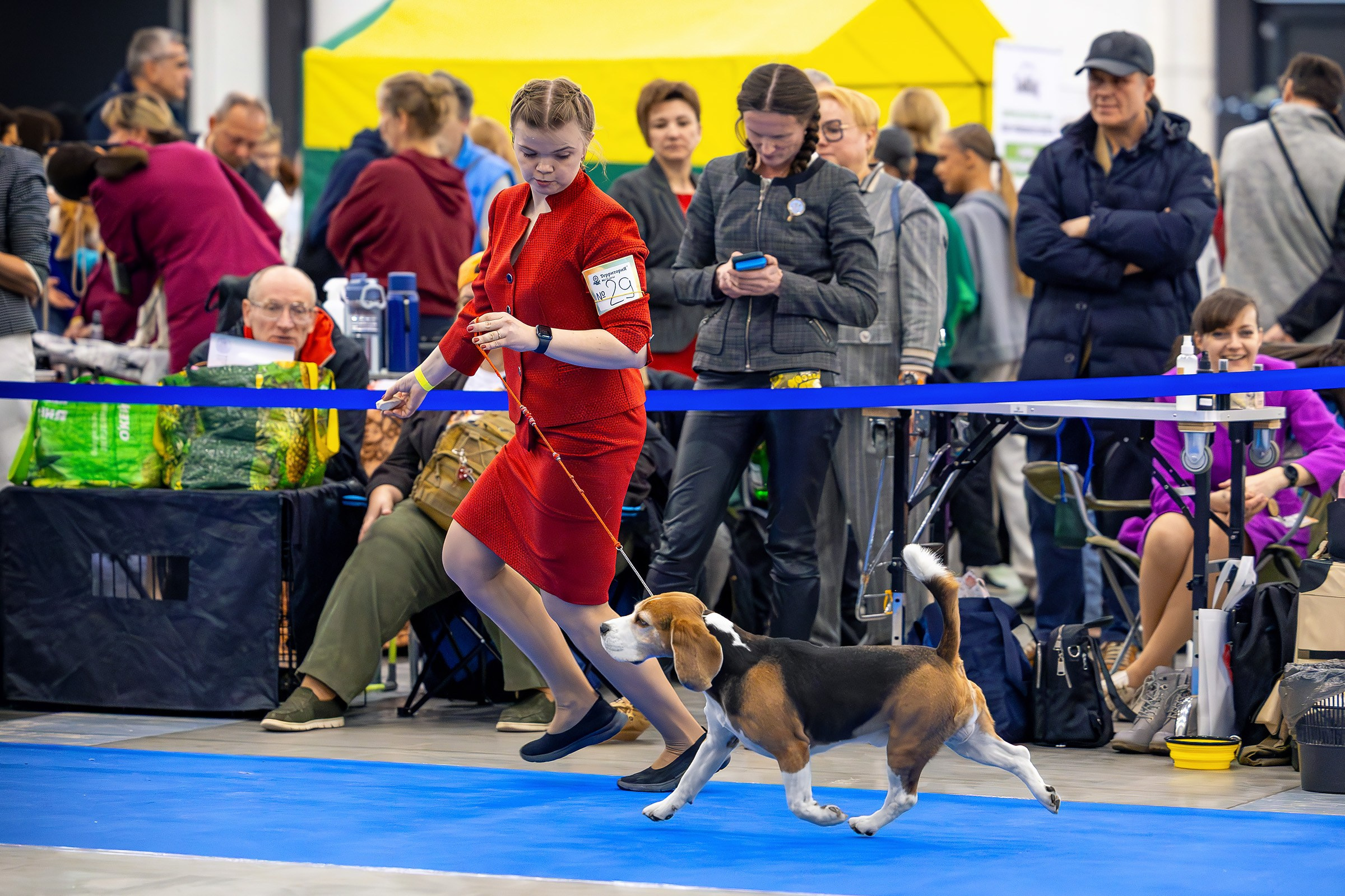 26–27 апреля 2025, Выставка РКФ, г. Санкт-Петербург. Htykk_photo