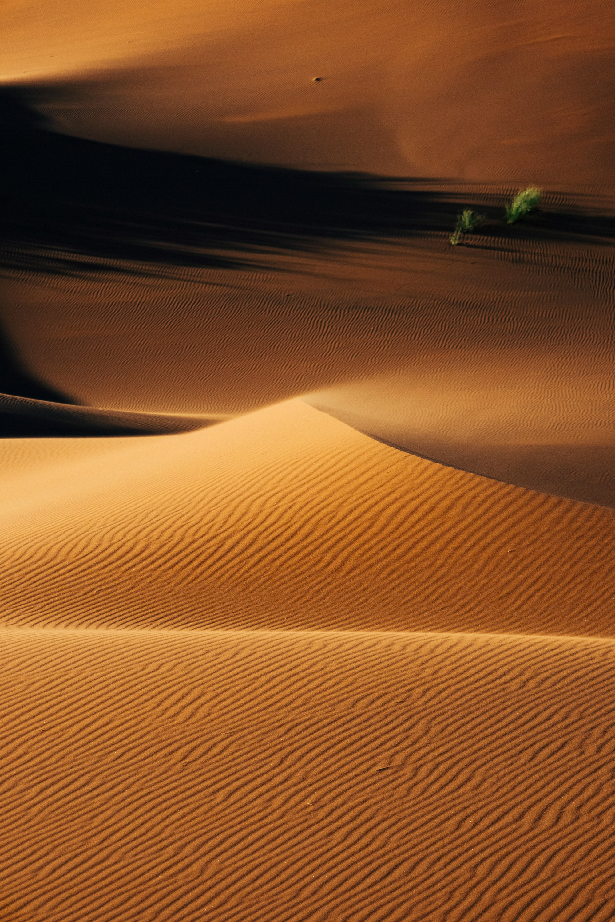 НАМИБИЯ. Роадтрип