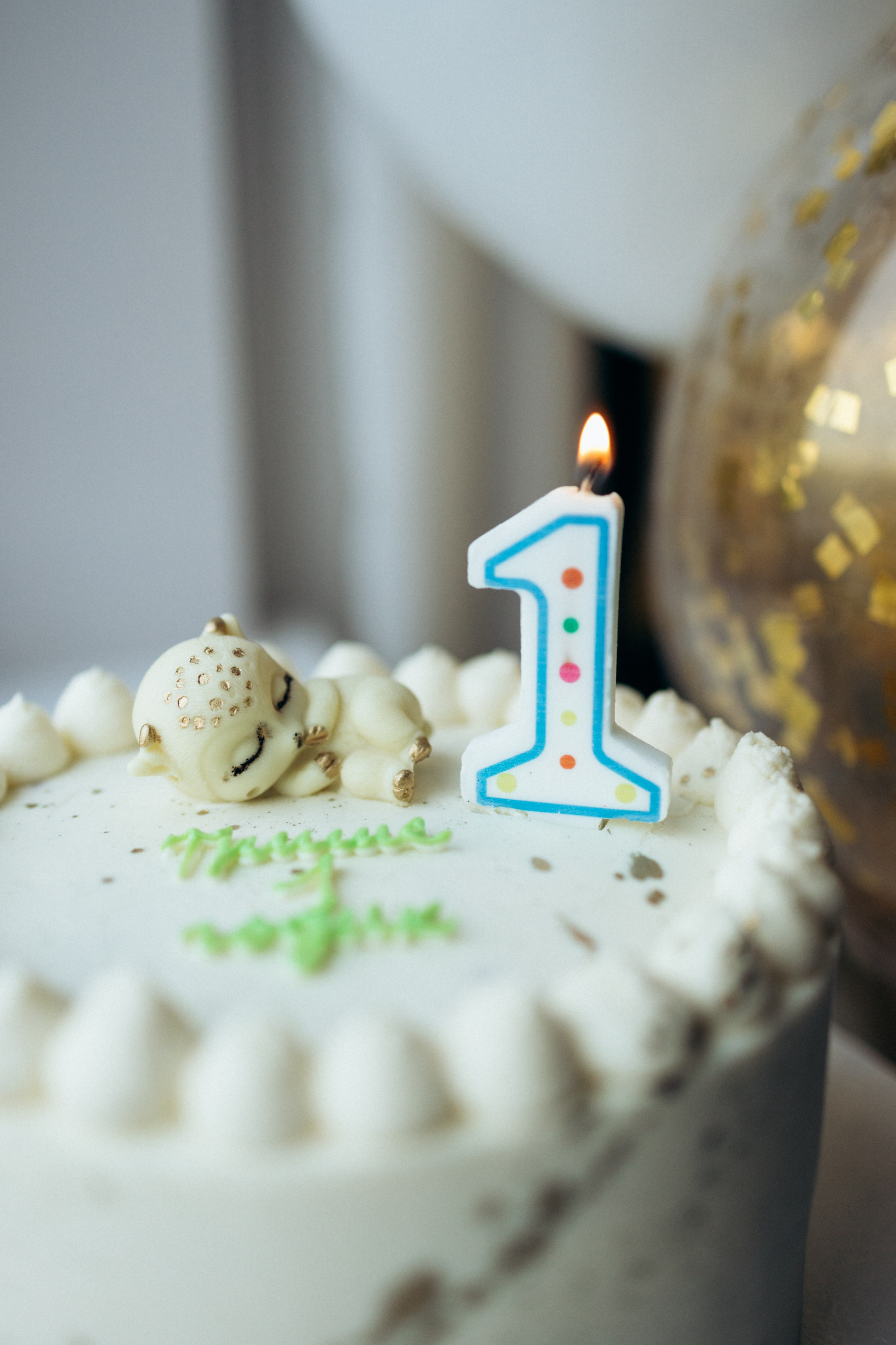 1 годик. Фотограф Валерия Ковпак. Москва. Химки. Куркино