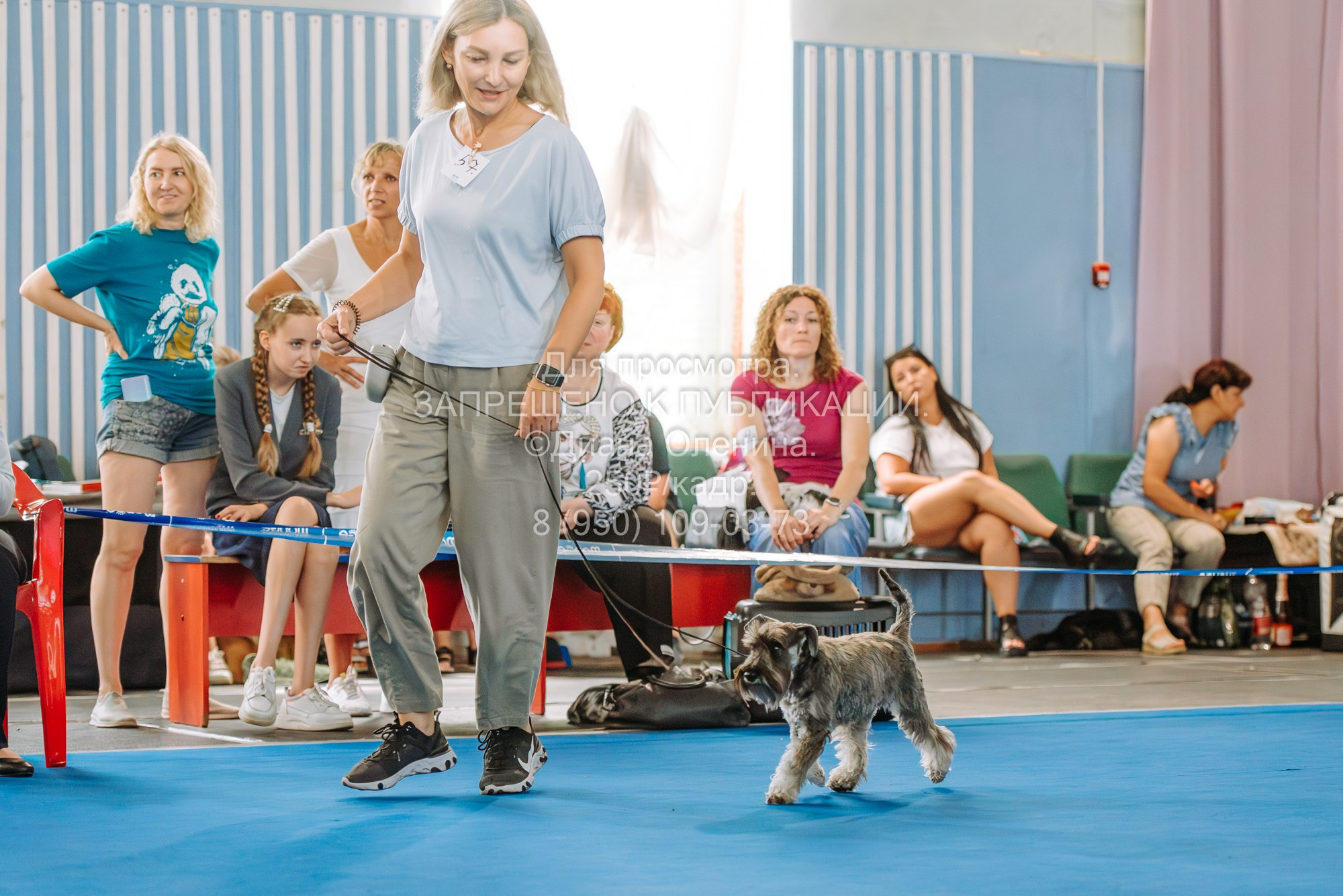 Национальная выставка собак всех пород ранга САС-IKU «Кубок Красноярск. Фотограф Диана Оленина Красноярск / Братск
