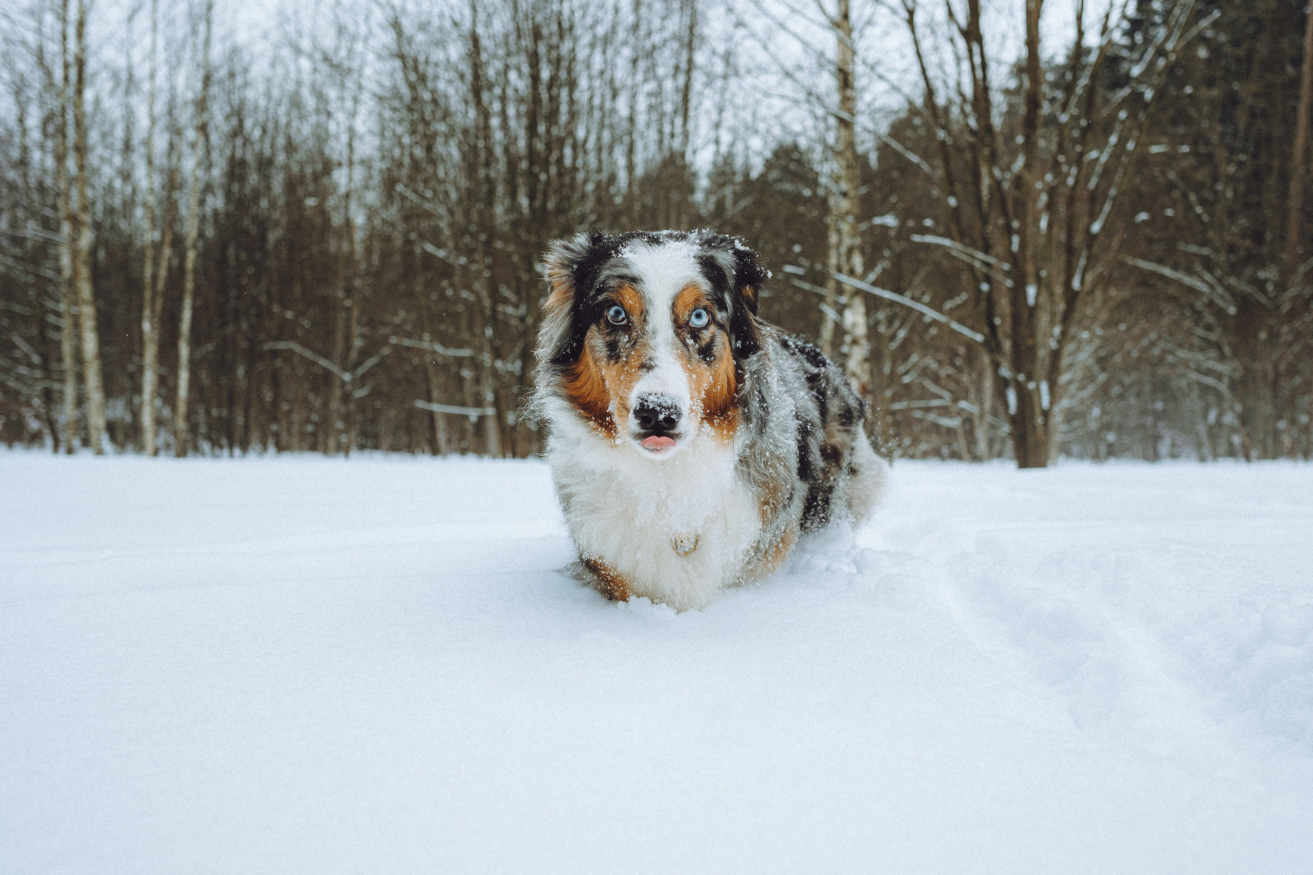 Фаня и ее семья