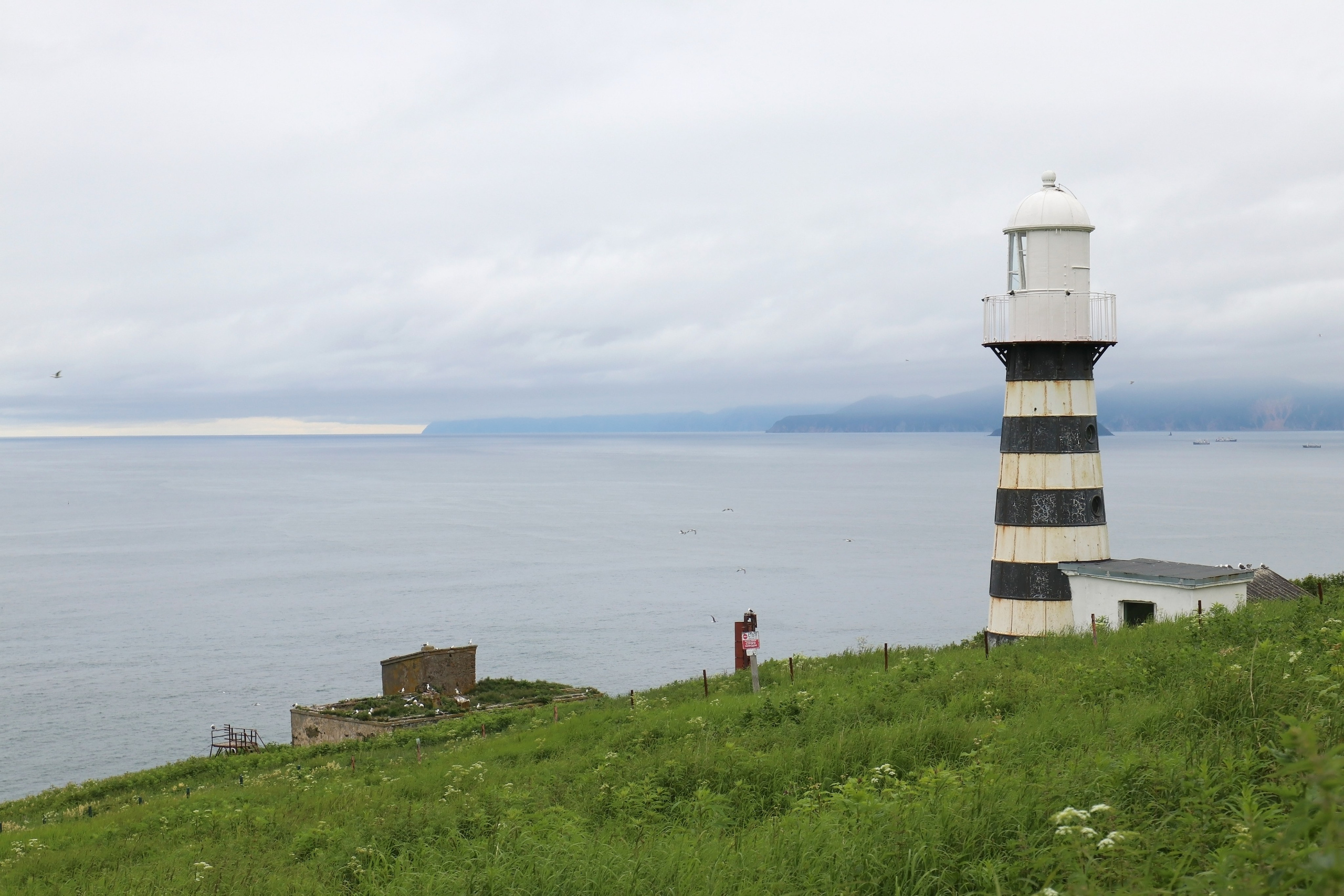 Камчатка и о. Парамушир. Июль 2024. Путешественник-фотограф из Санкт-Петербурга Татьяна Свистулина