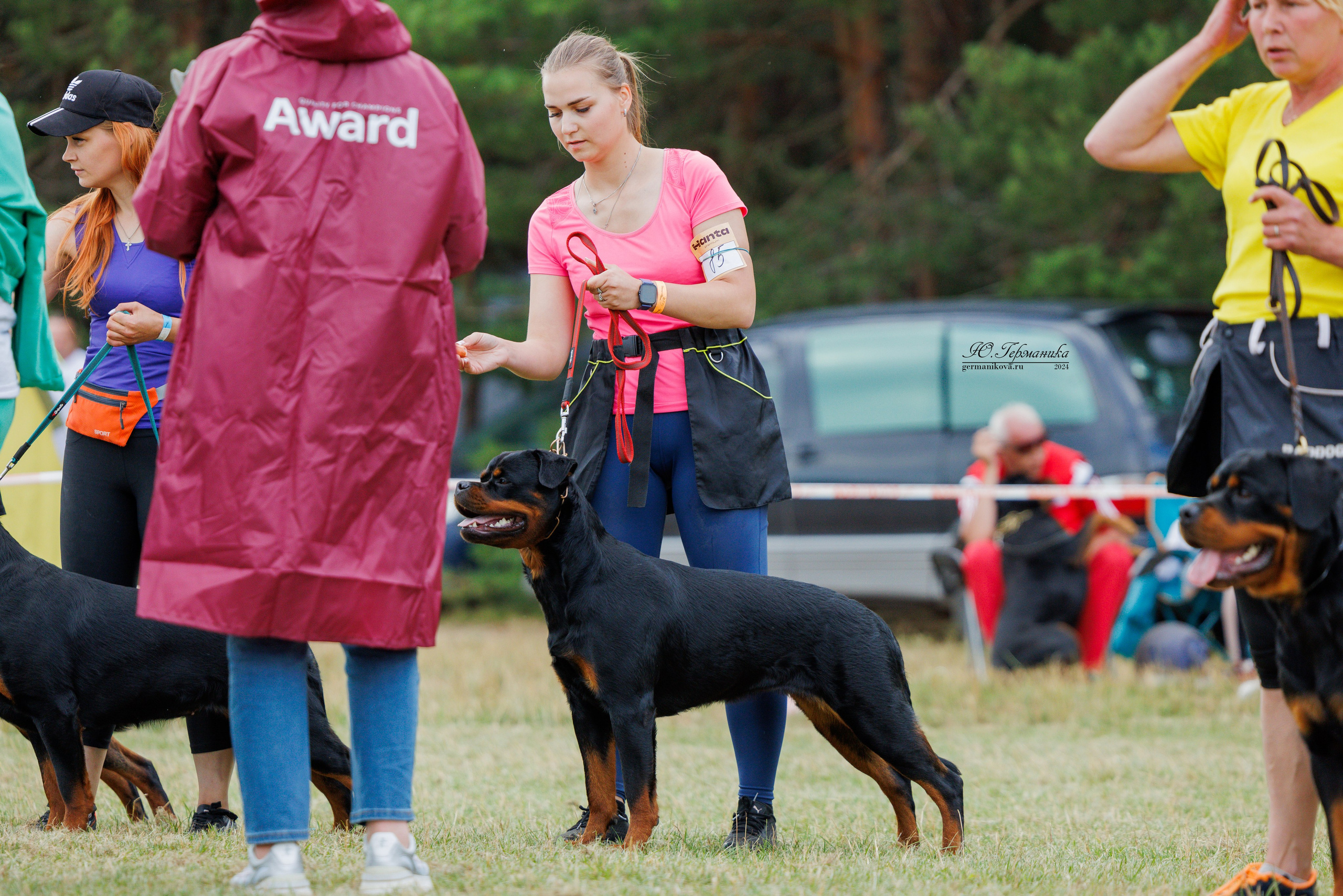 ПК и КЧК ротвейлеры Тверь 6-7.07.2024. Фотограф-анималист Юлия Германика