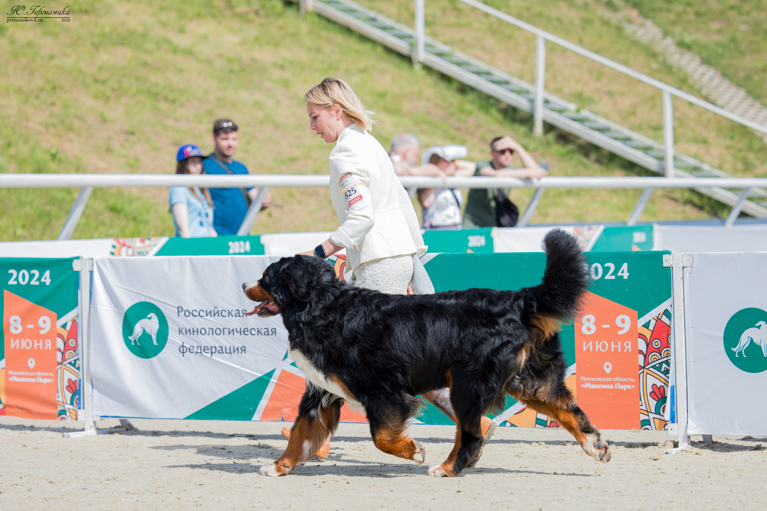 РОССИЯ 8-9.06.2024. Фотограф-анималист Юлия Германика