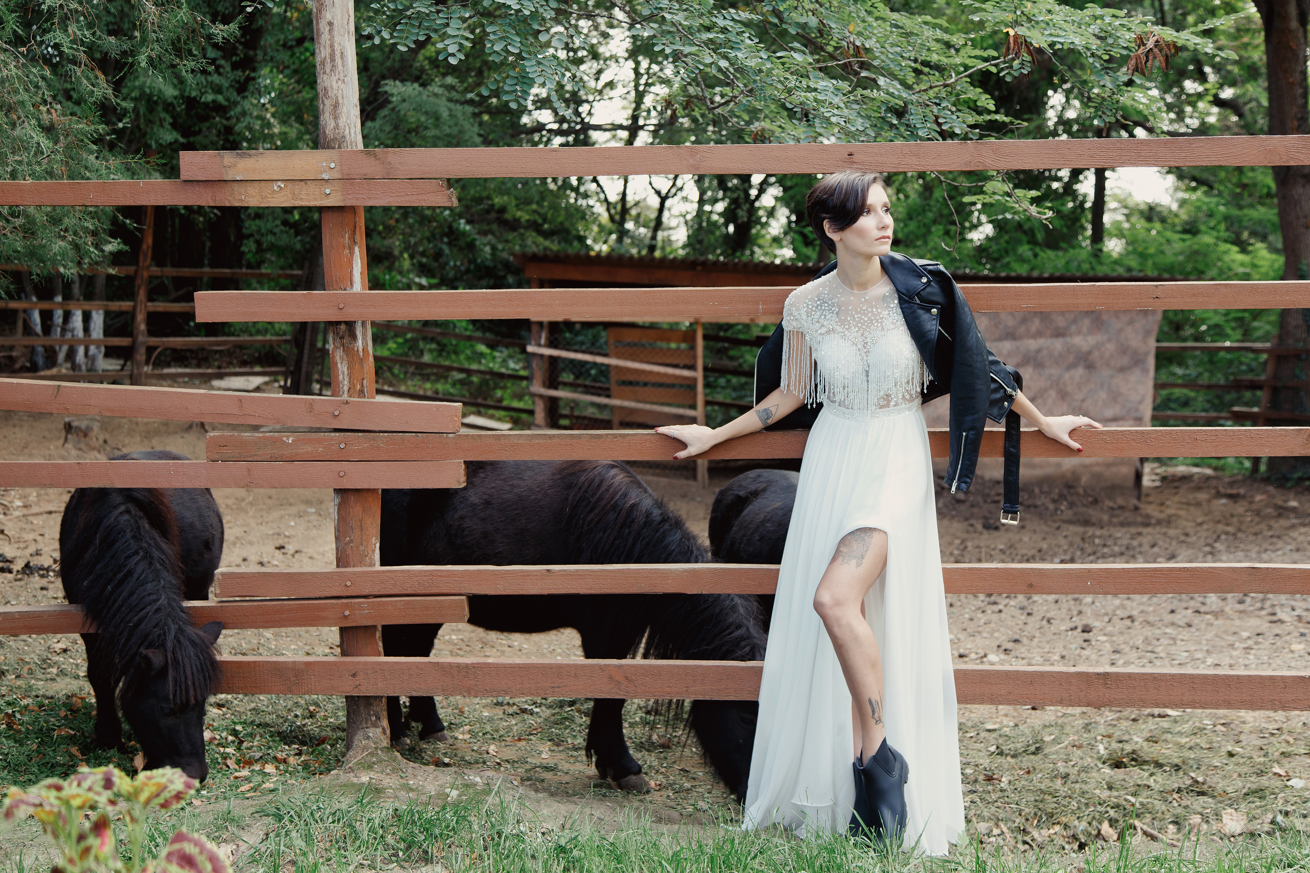 Лошади, невеста, свадьба