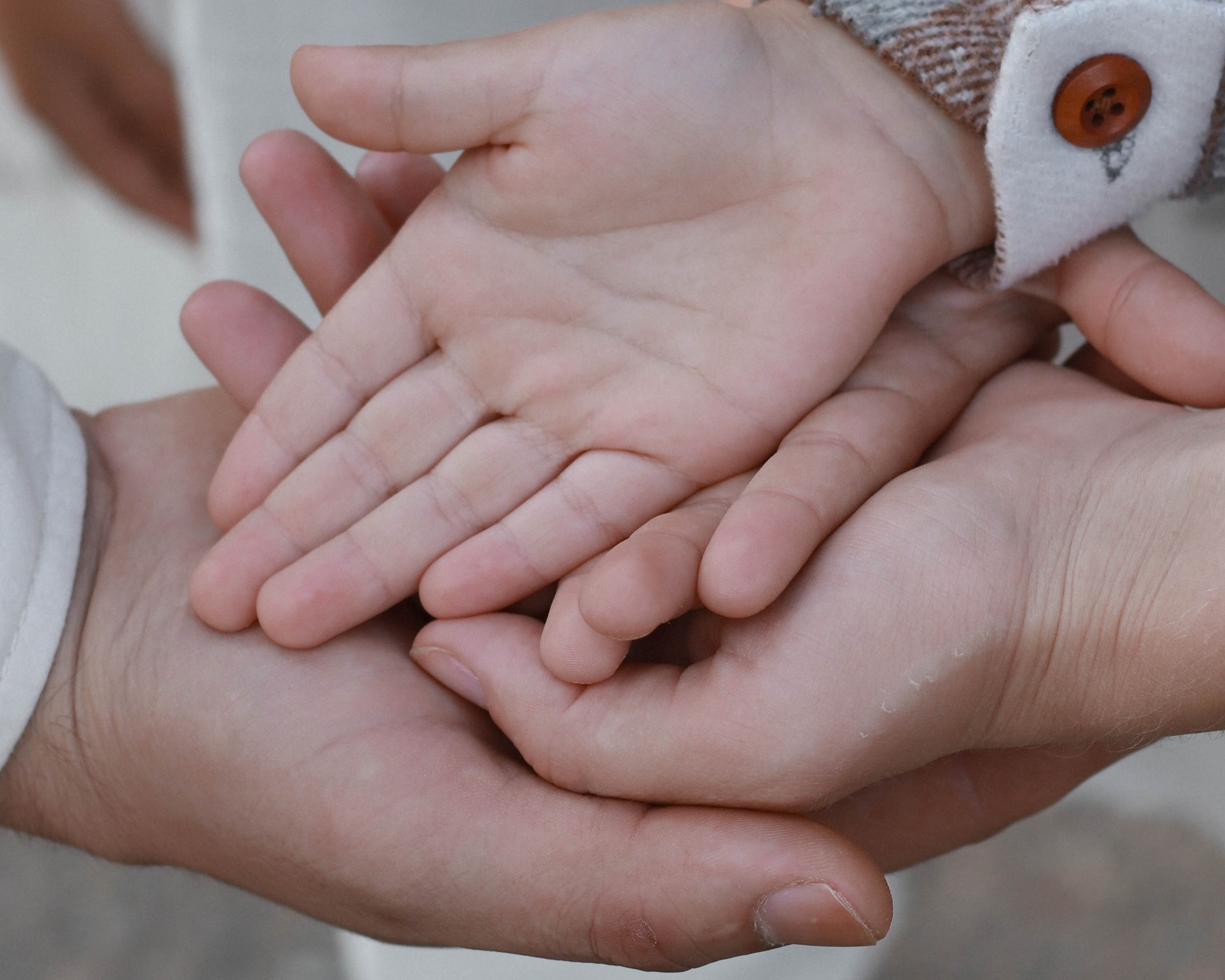 Сосновая Роща. Фотограф Анна Никитина | Йошкар-Ола