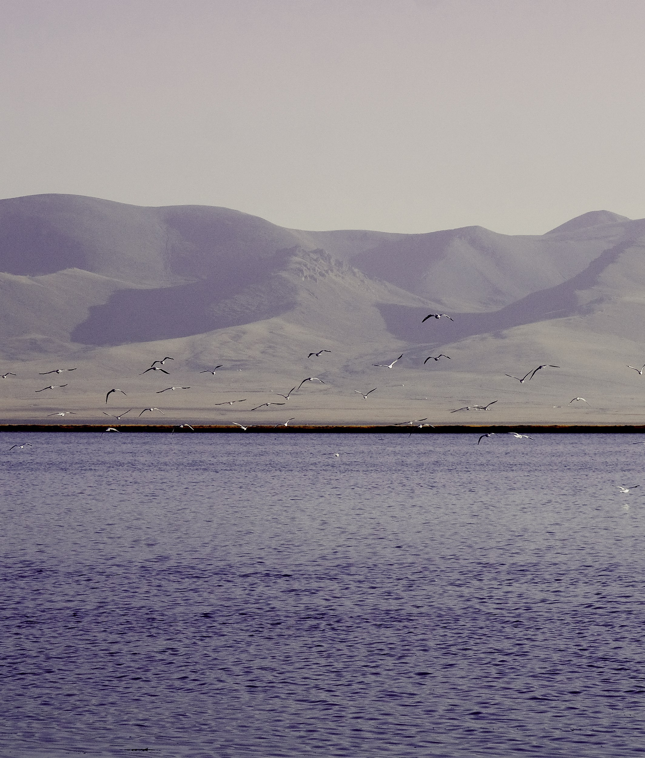 Кыргызстан. Фотограф Дмитрий Олрайт | Калуга, Россия
