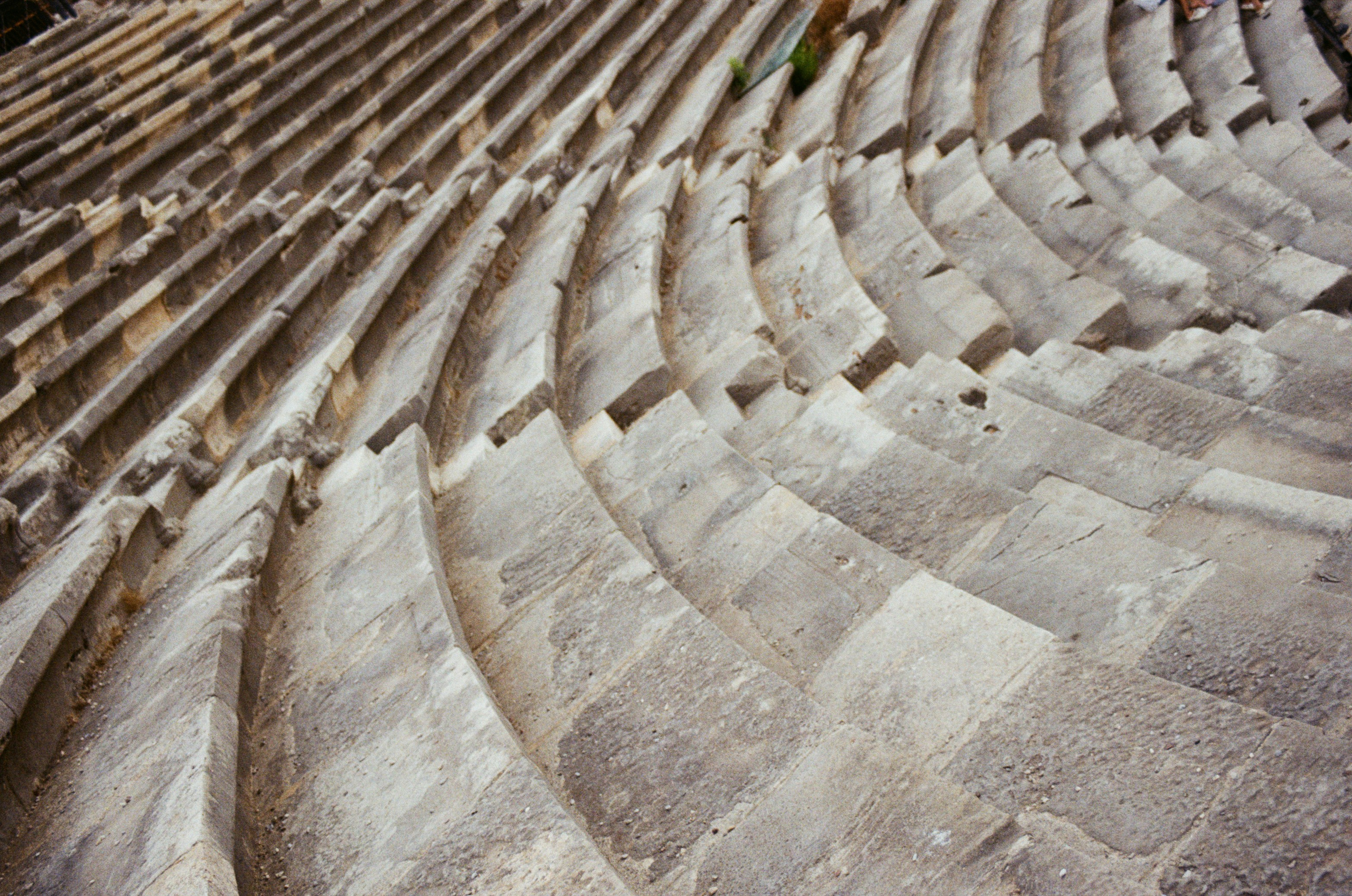 Пленка. Фотограф Елена Лаврова
