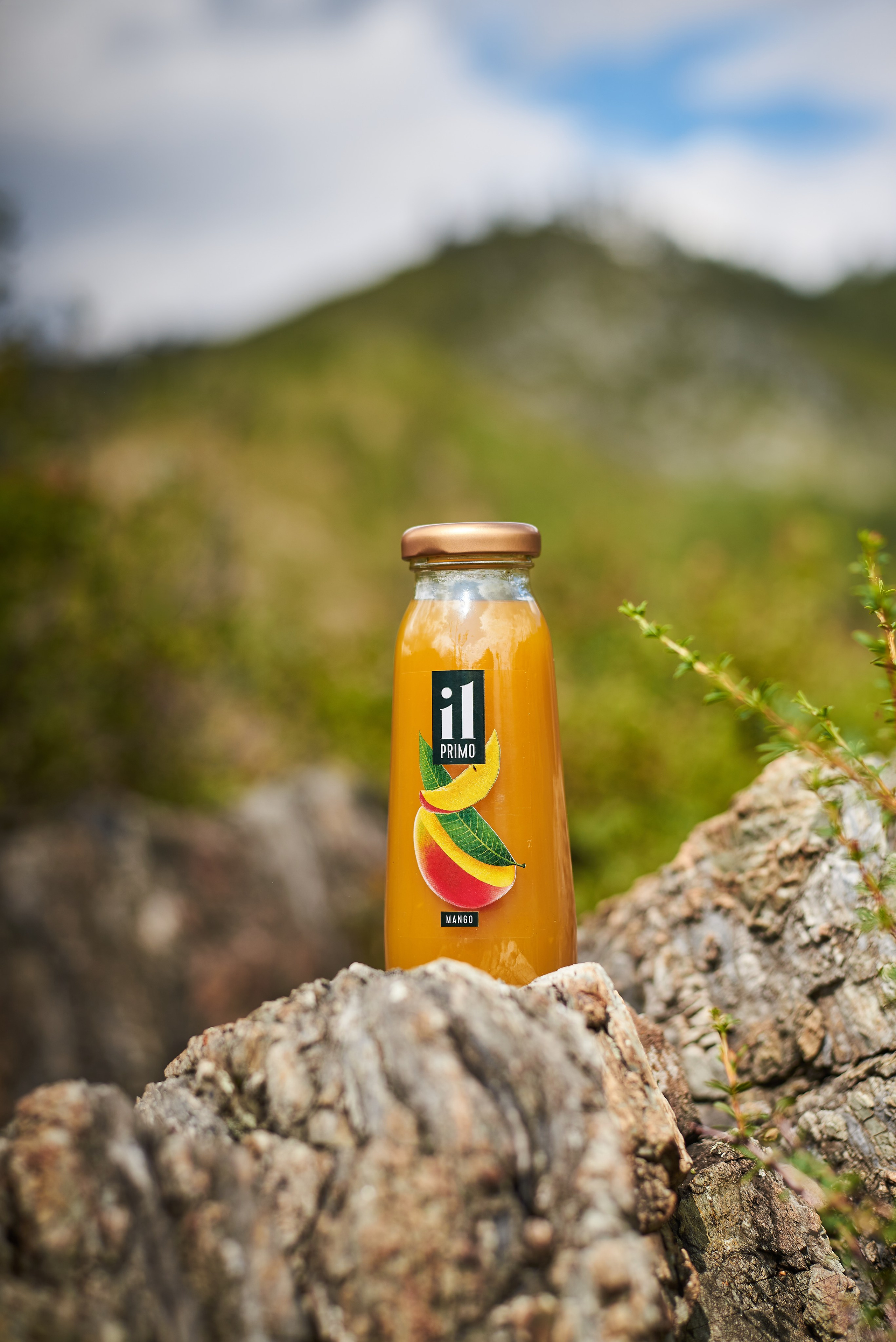 Сок. Семейный фотограф в Барнауле, Горный Алтай, Заринск, Алейск