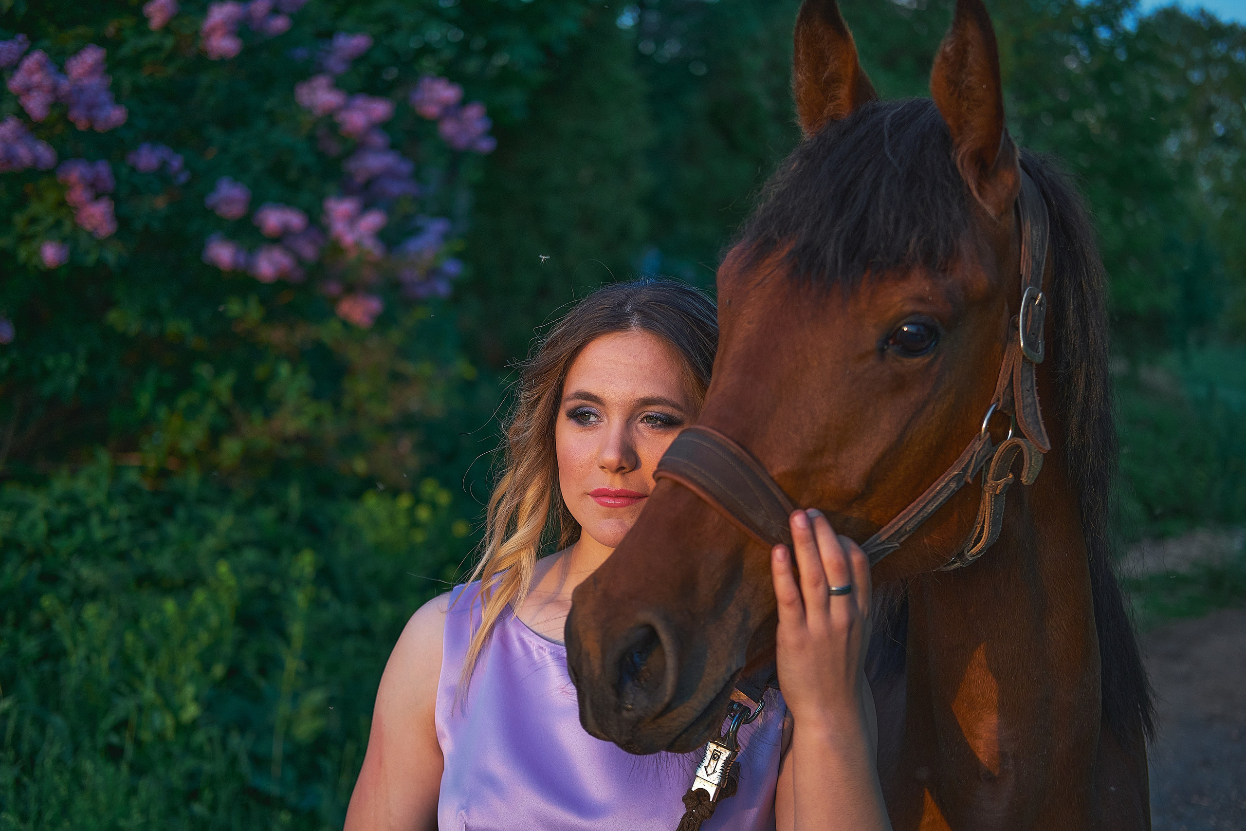 С лошадьми. Семейный и портретный фотограф в Новомосковске и Узловой Михеева Татьяна