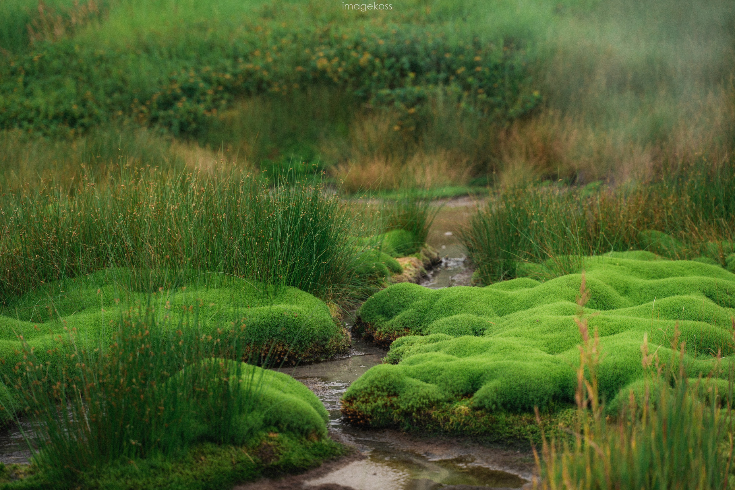 Камчатка. Фотограф в поход и восхождение на Эльбрус Игорь Косарев
