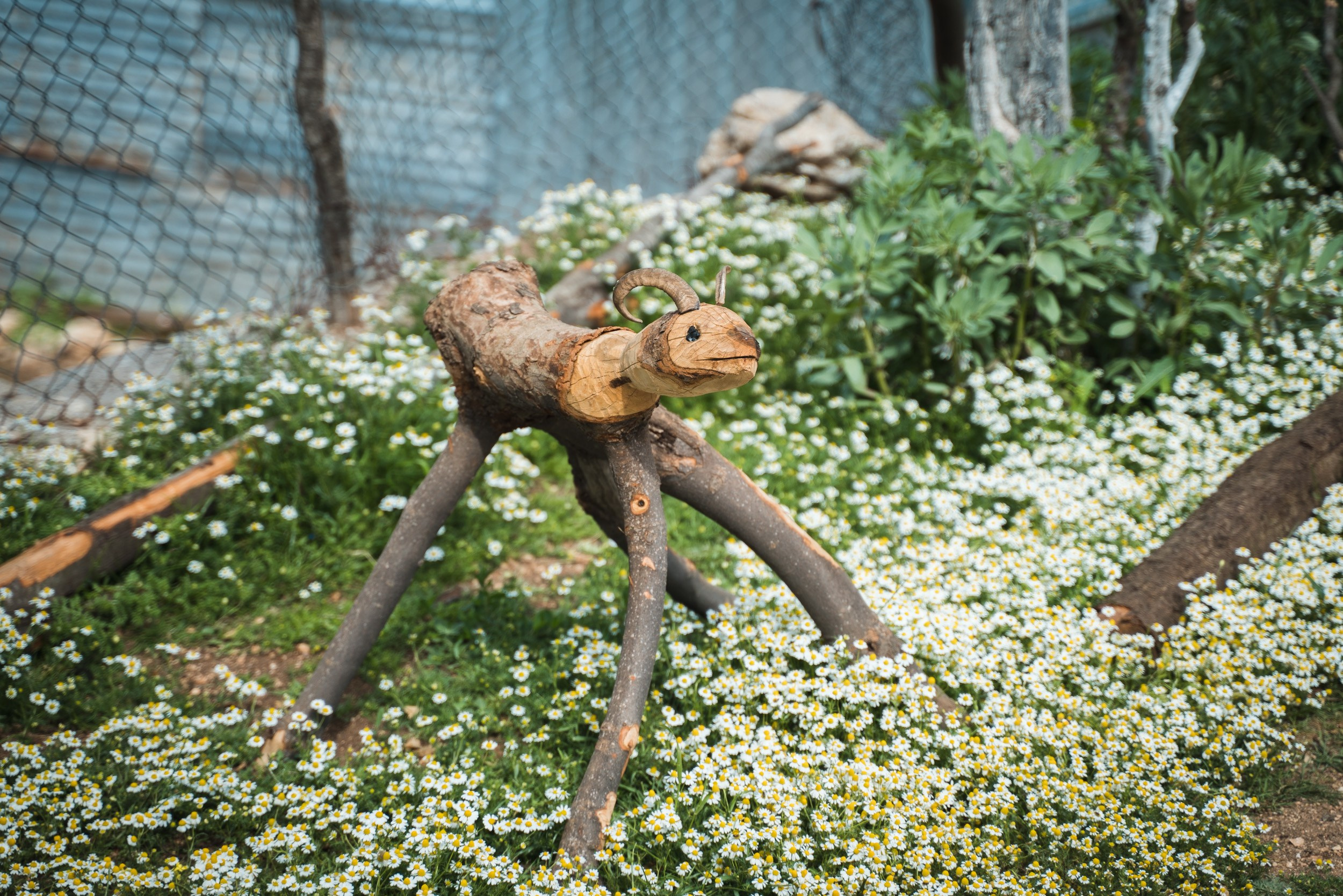 Турция. Западная Ликийская тропа. Фотограф в поход и восхождение на Эльбрус Игорь Косарев