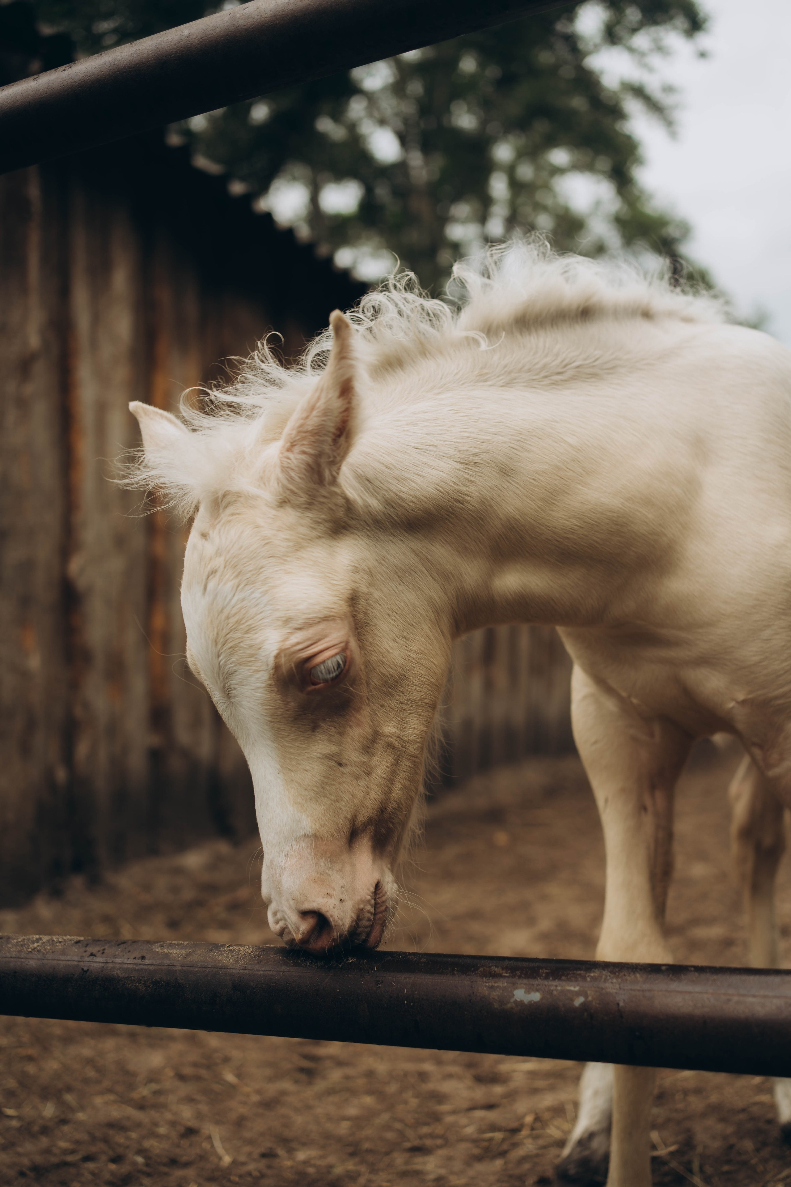 Семейные прогулки ульяновск. Семейный и детский фотограф новорожденных Ульяновск